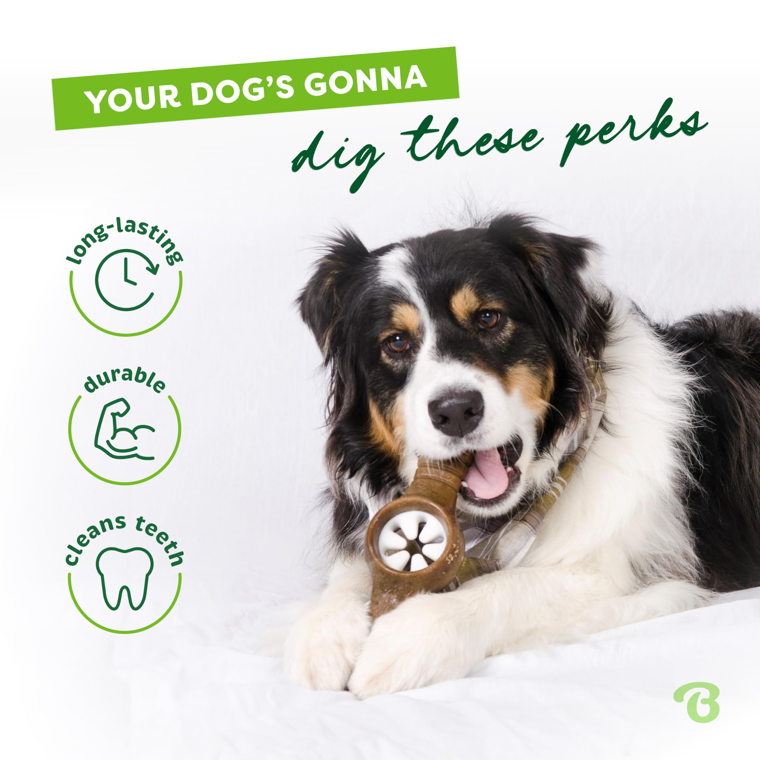 Benebone Pawplexer Interactive Treat Dispensing Tough Dog Puzzle Chew Toy, Made in USA, Small, Real Bacon Flavor