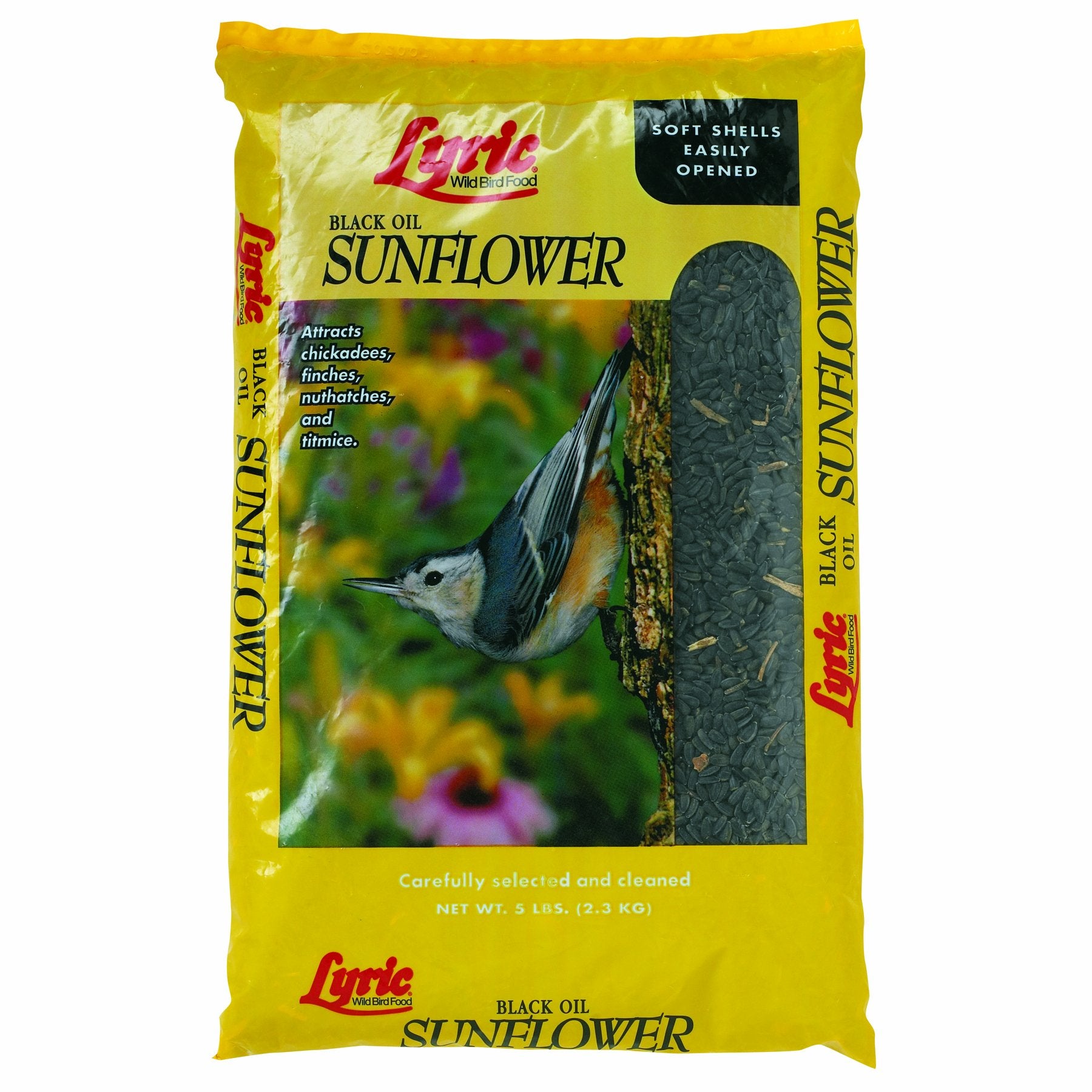 LEBANON SEABOARD SEED CORP 26-47277 Black Oil Sun Seed, 10 lb.