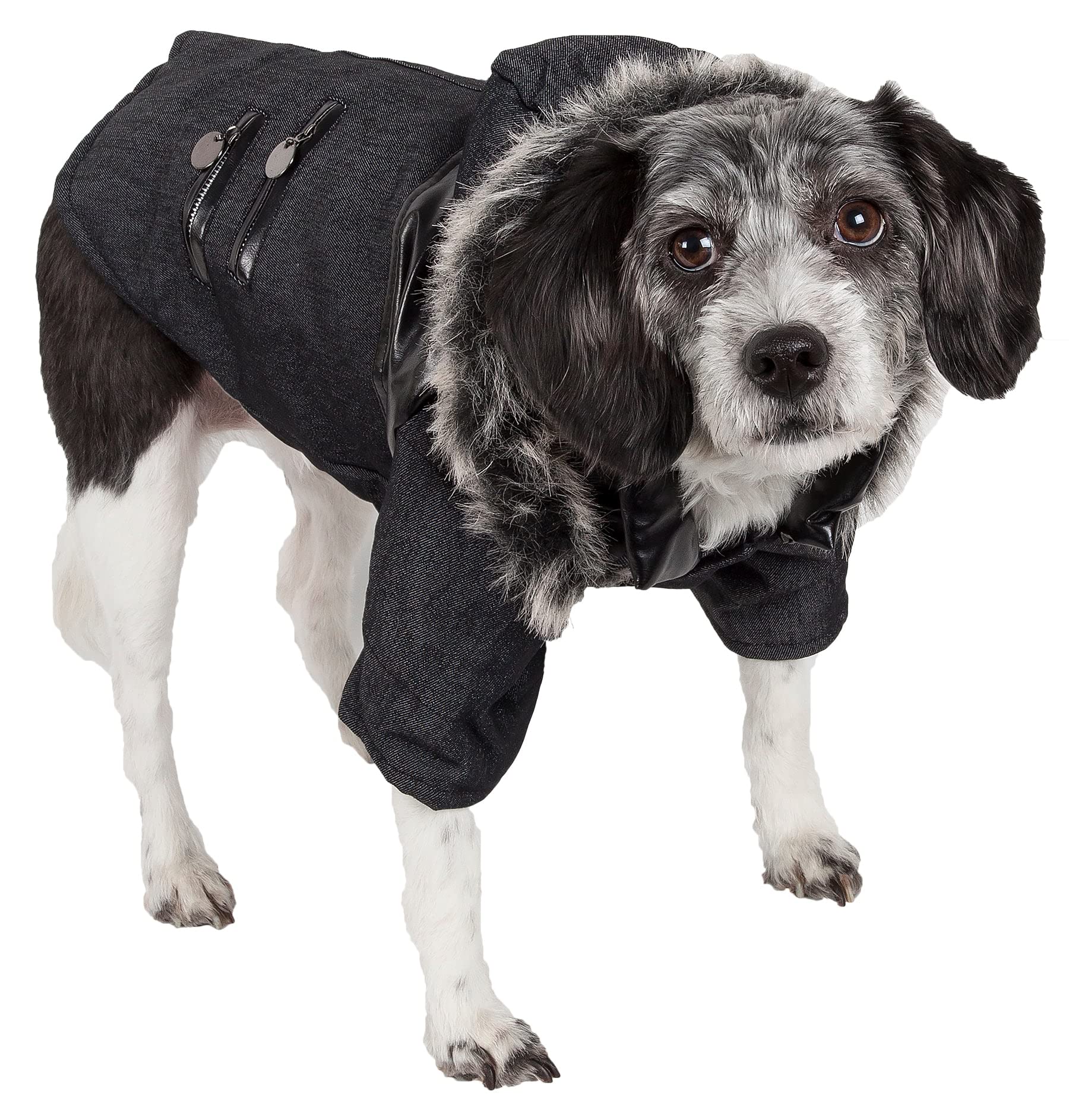 Pet Life Ruff-Choppered Denim Fashioned Wool Dog Coat - Fall and Winter Dog Jacket with Designer Trims and Details