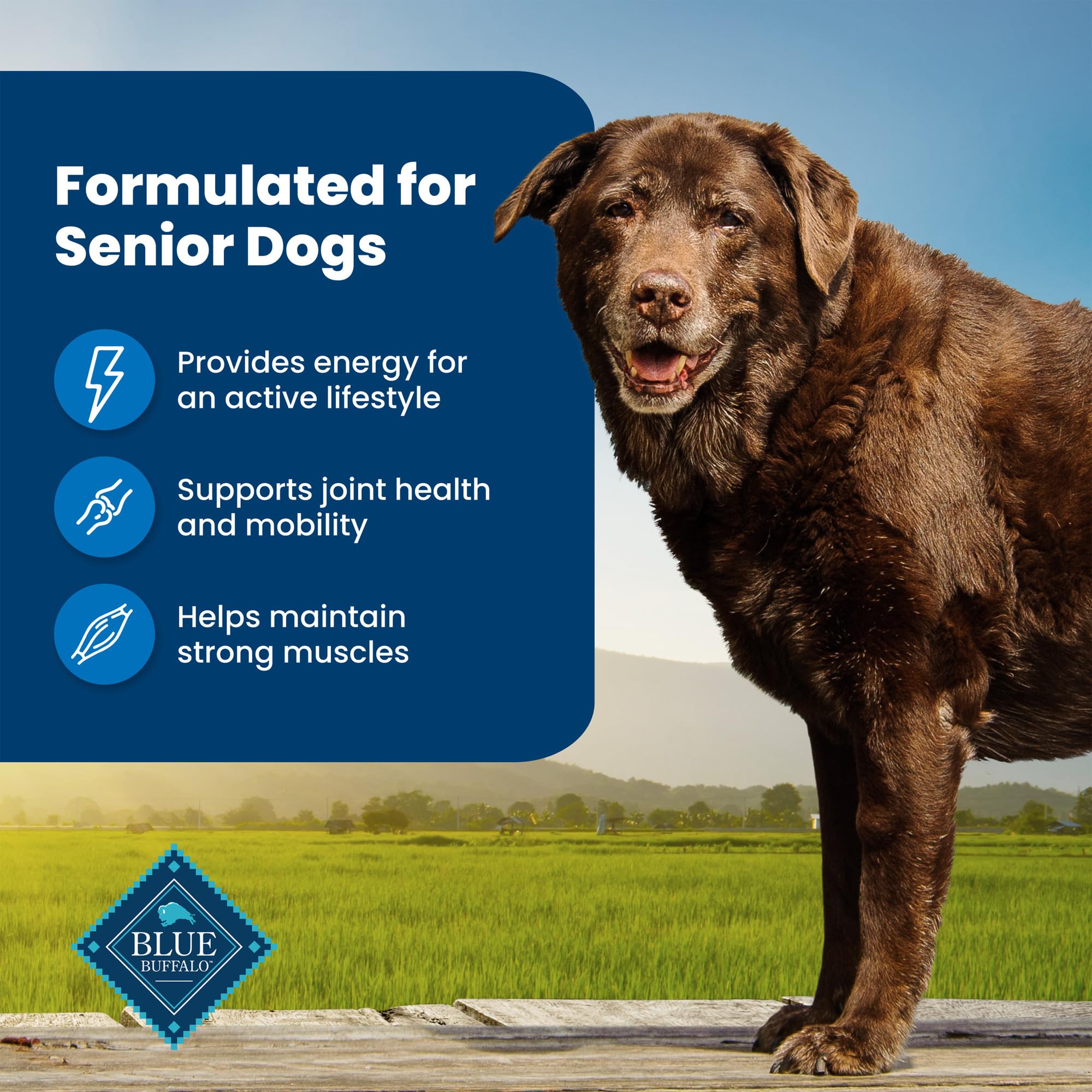 Blue Buffalo Life Protection Formula Senior Dry Dog Food, Supports Joint Health and Mobility, Made with Natural Ingredients, Chi