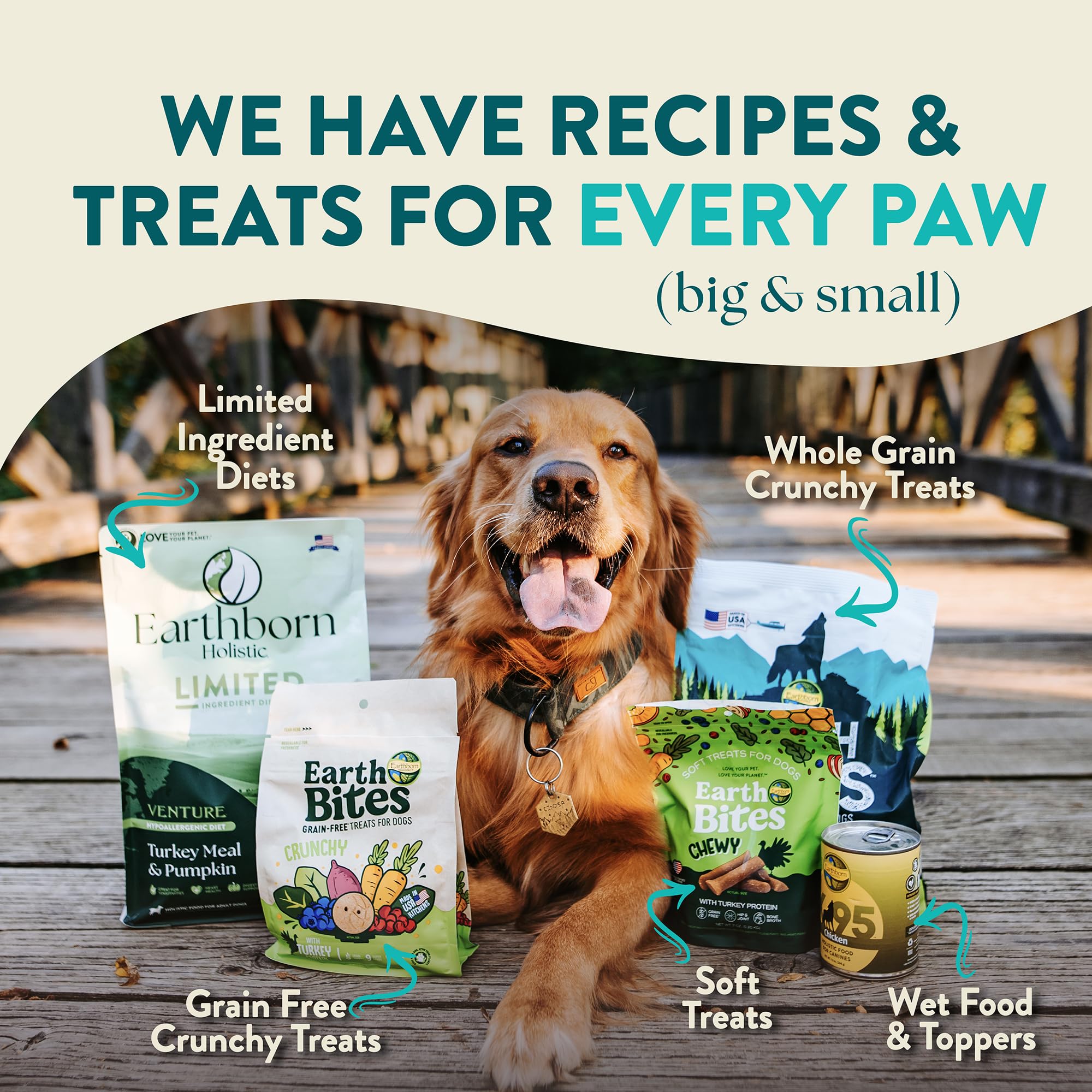 Earthborn Holistic Coastal Catch Herring Meal & Vegetables Grain-Free Sensitive Skin & Stomach Dry Food for Dogs and Puppies (12