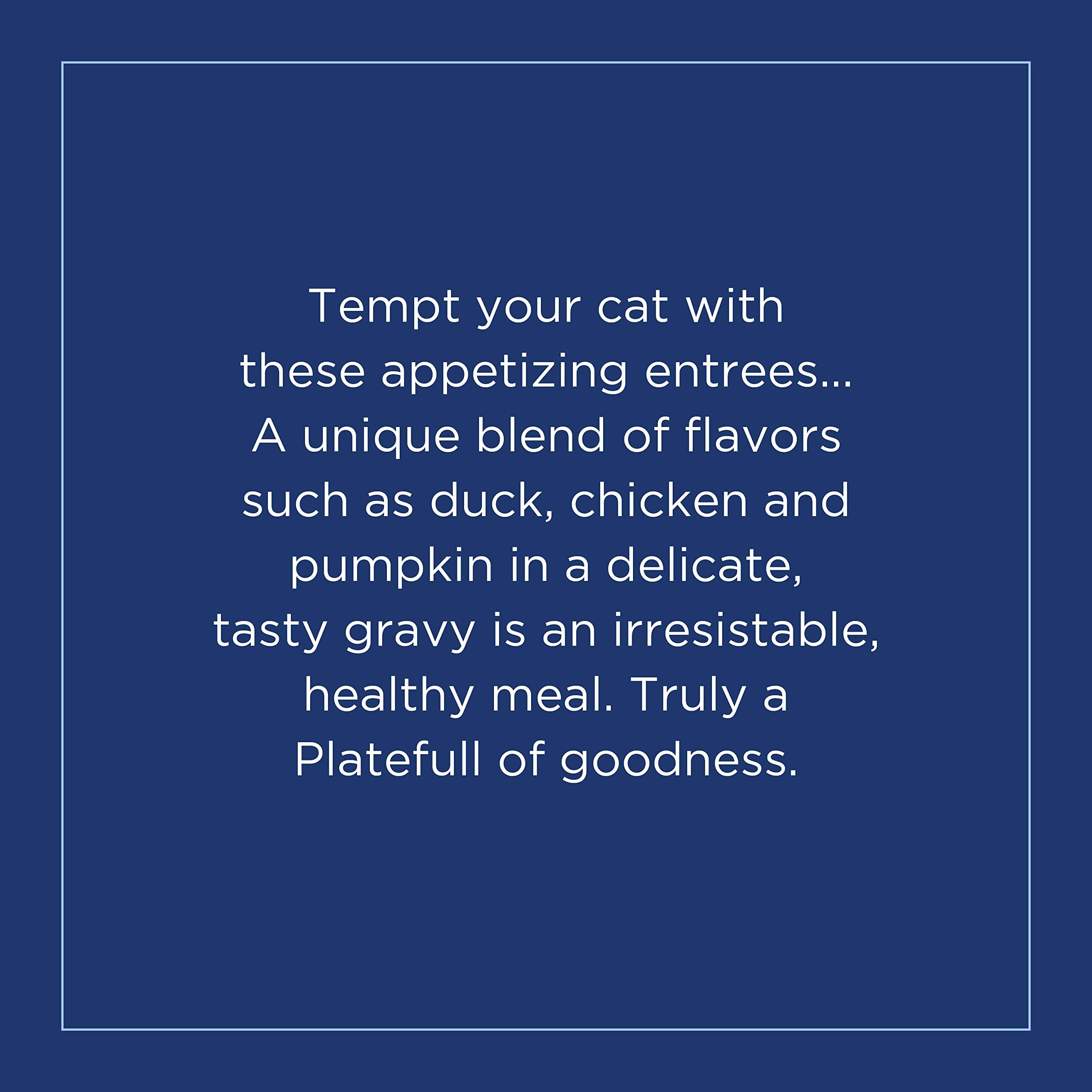 Natural Balance Original Ultra Platefulls Indoor Adult Grain Free Wet Cat Food, Duck, Chicken & Pumpkin Recipe, 3 Ounce Pouch (P