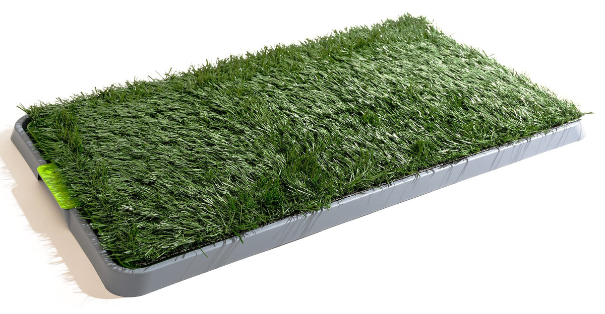 Potty Patch Dog Grass Pad Fake Grass For Dogs To Pee On, Indoor Dog Potty For Dogs Under 15Lbs, Grass Pee Pads For Dogs With Tray, Small