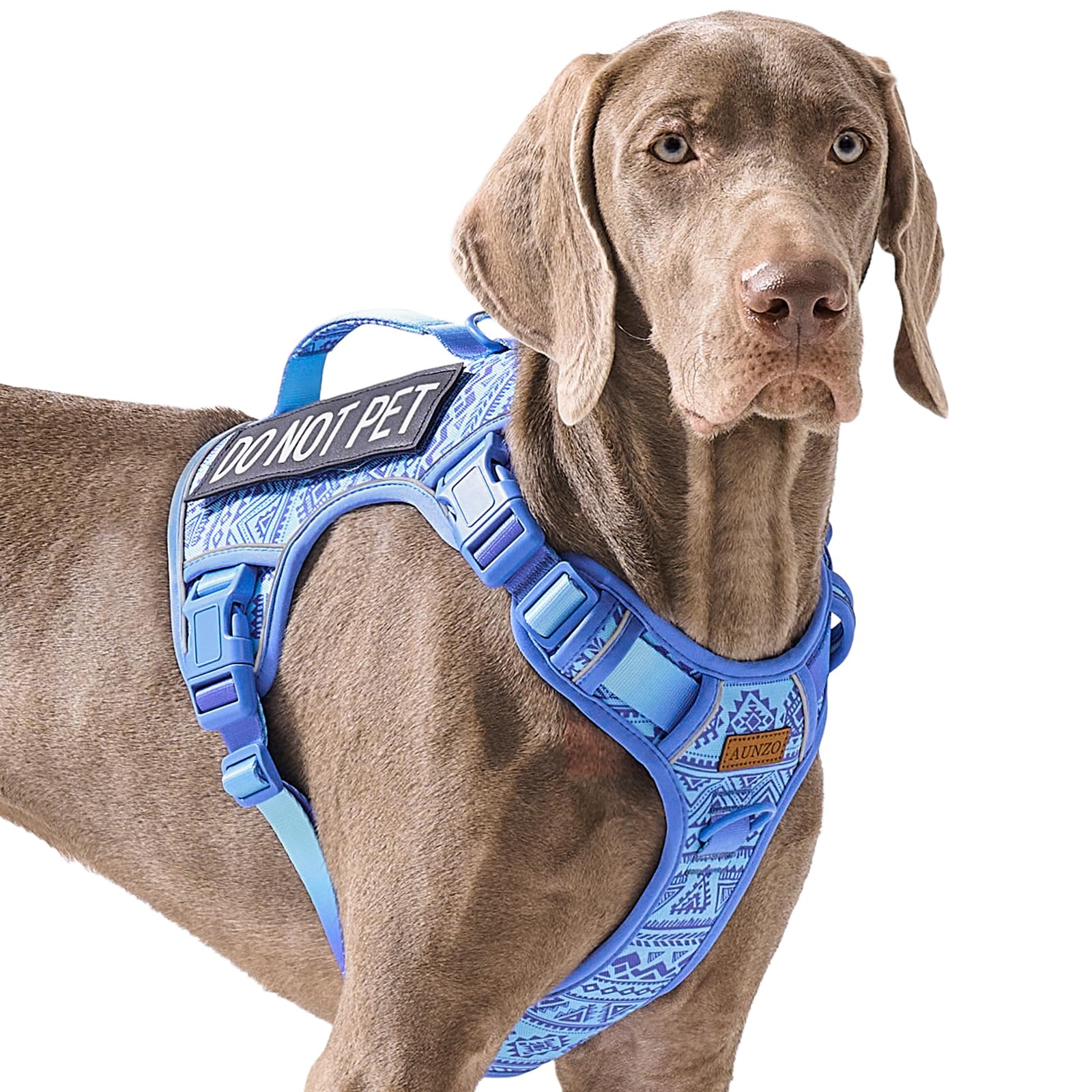 No Pull Dog Harness For Large Dogs With 2 Metal Clips, Easy On/Off With Neck Buckle, Heavy Duty Adjustable Tactical Puppy Vest, 