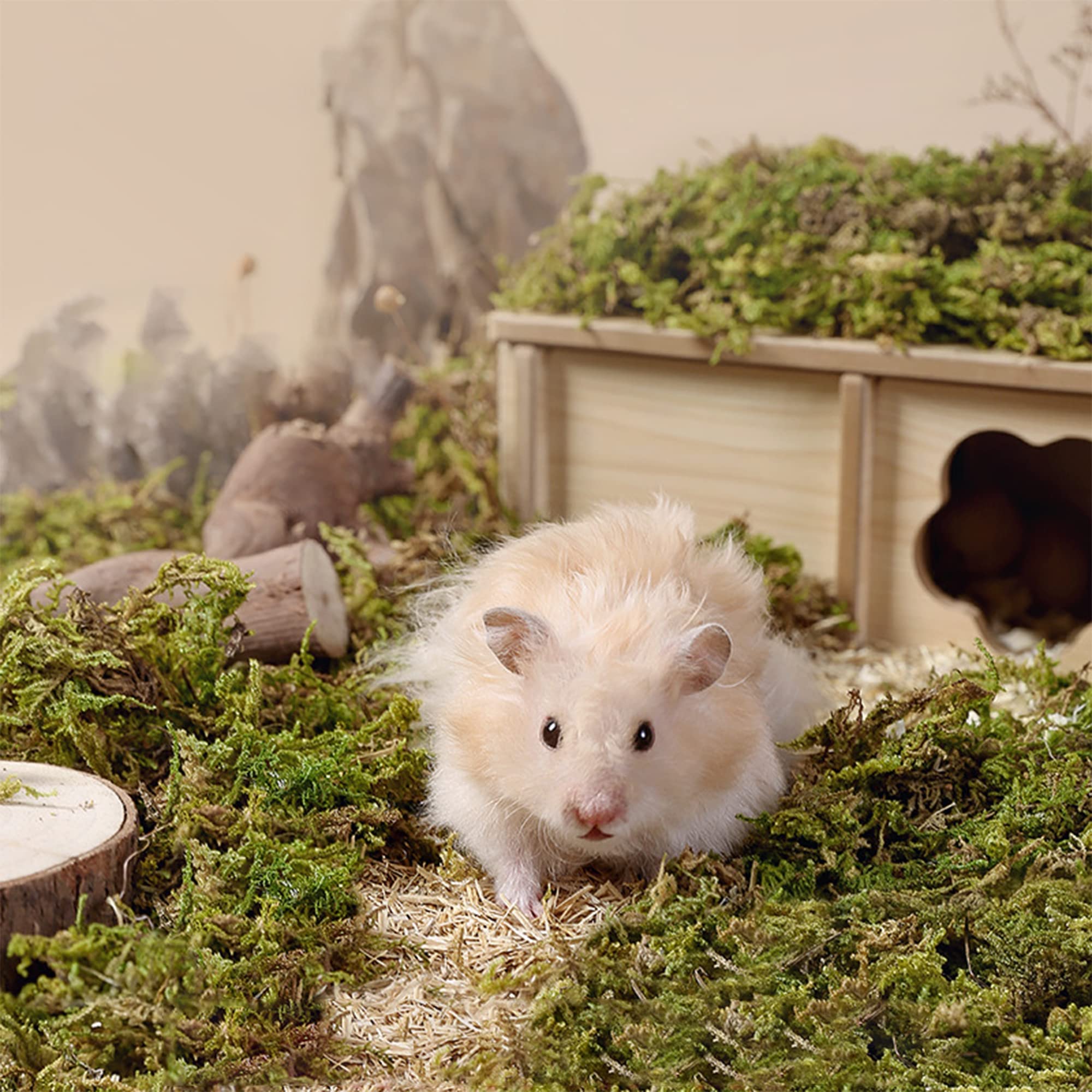 Dr.Dudu 15L Forest Moss For Hamster Bedding Nesting, Syrian Gerbils Hamster Cages Accessories, Perfect For Small Animals Terrarium Moss