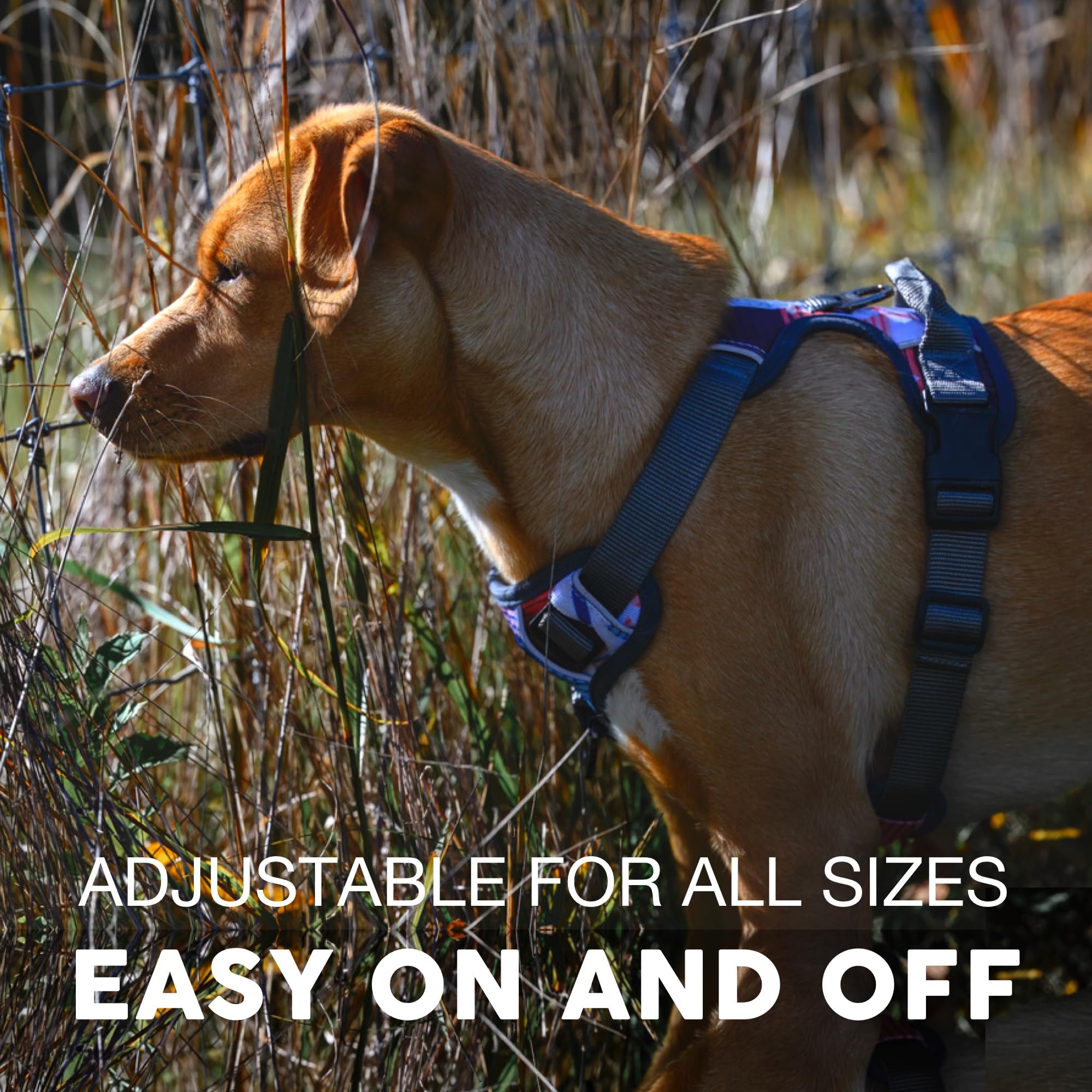 Embark Adventure Dog Harness, Reflective Trim No Pull Dog Harnesses For Small Sized Dogs - Military Grade Nylon, Front Clip Dog Harness With Gel Lined Handle. Soft & Padded Puppy Dog Harnesses.
