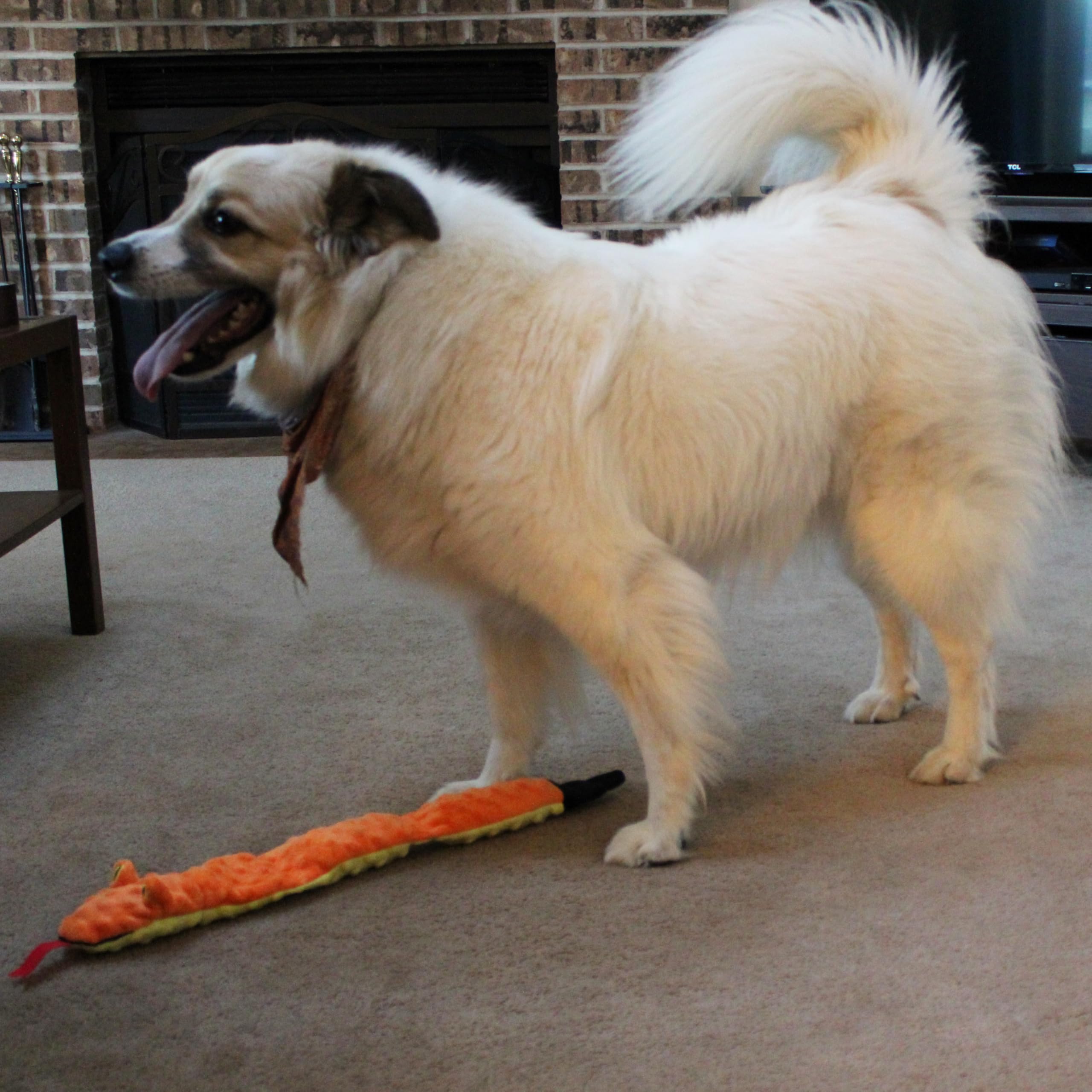 SPOT Skinneeez Extreme Triple Squeak Snake - Durable, Stuffing-Free Dog Toy with Rip-Stop Mesh & 3 Jumbo Squeakers, Built for Ag