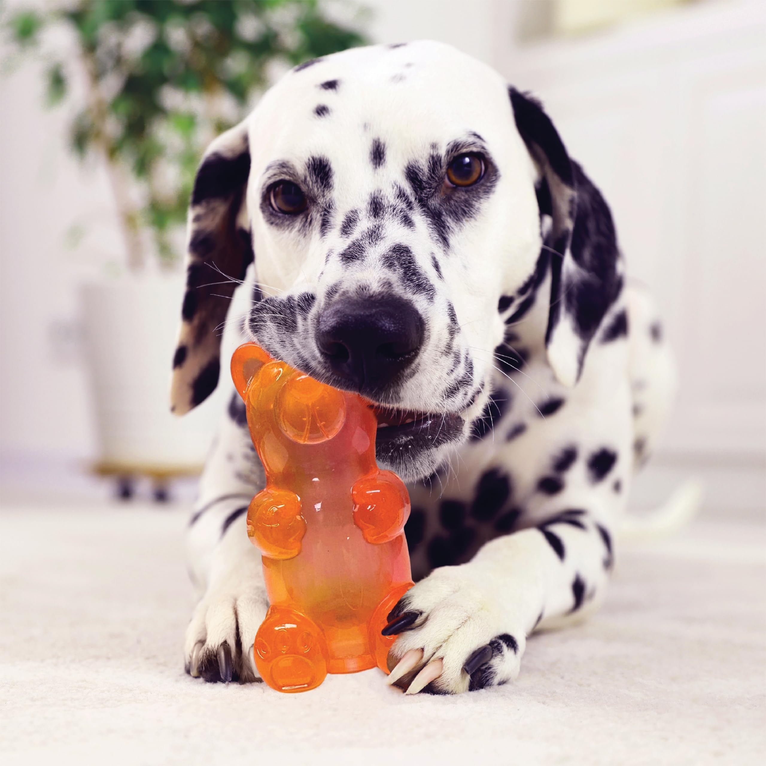 Spunky pup Spunky Bear Interactive Squeaky Dog Toys - Gummy Bear Shape, Crazy Bounce, Dishwasher-Safe, Assorted Neon Colors- Sma