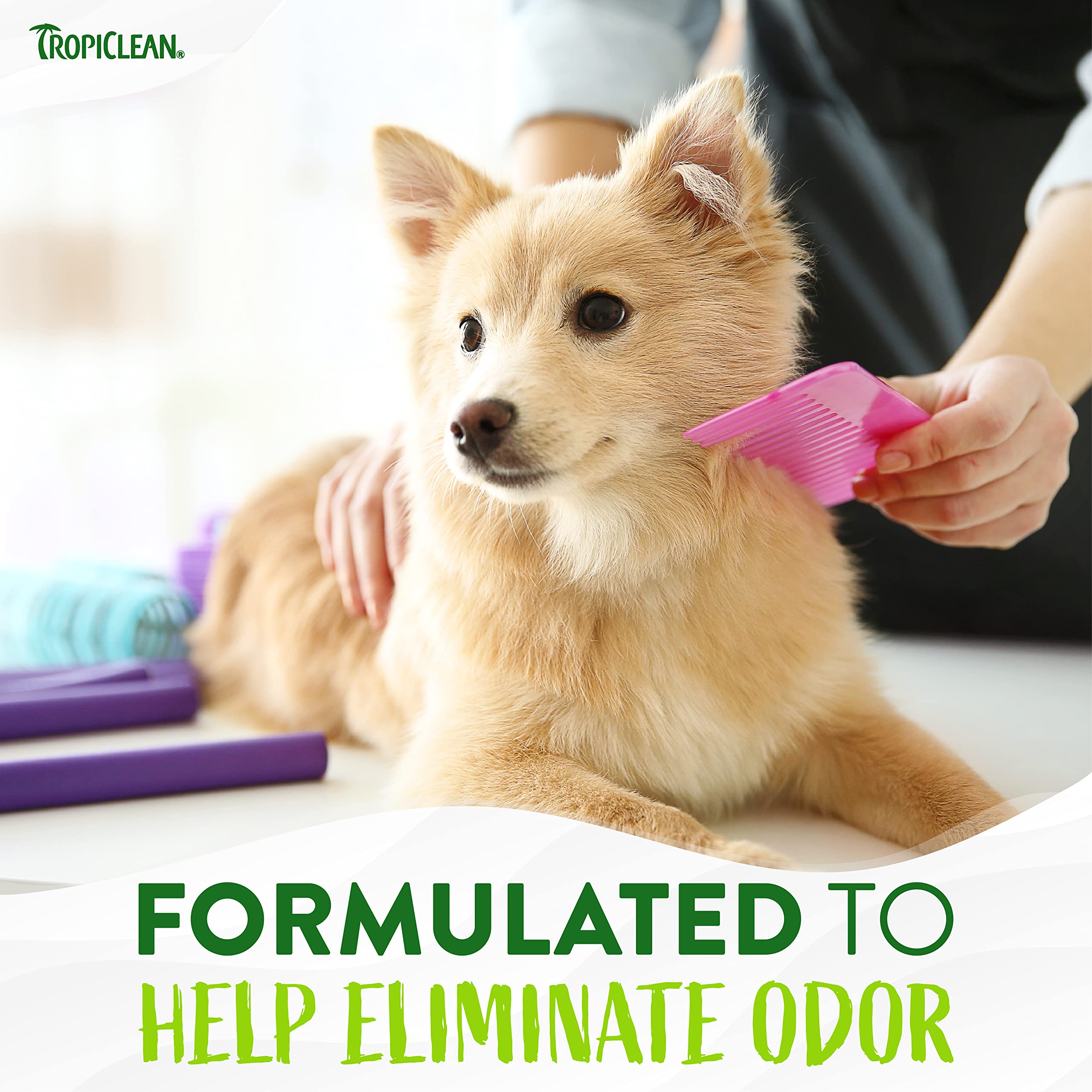 Tropiclean Aloe & Coconut Deodorizing Dog Shampoo For Smelly Dogs | Odor Control Shampoo For Stinky Dogs | Natural Pet Shampoo Derived From Natural Ingredients | Cat Friendly | Made In The Usa | 1 Gal