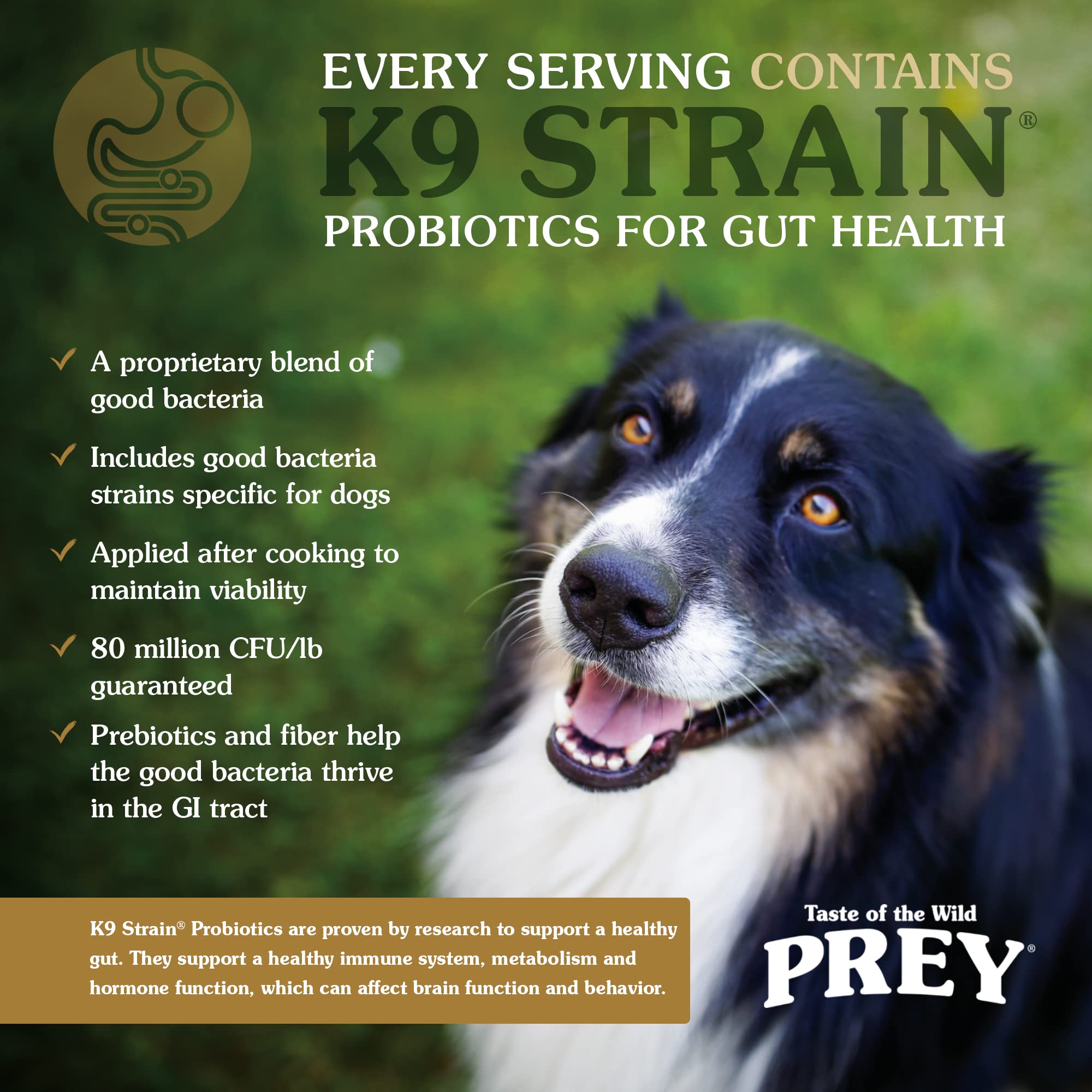 Taste of the Wild PREY Real Meat High Protein Angus Beef Limited Ingredient Dry Dog Food Grain-Free Recipe Made with Real Pastur