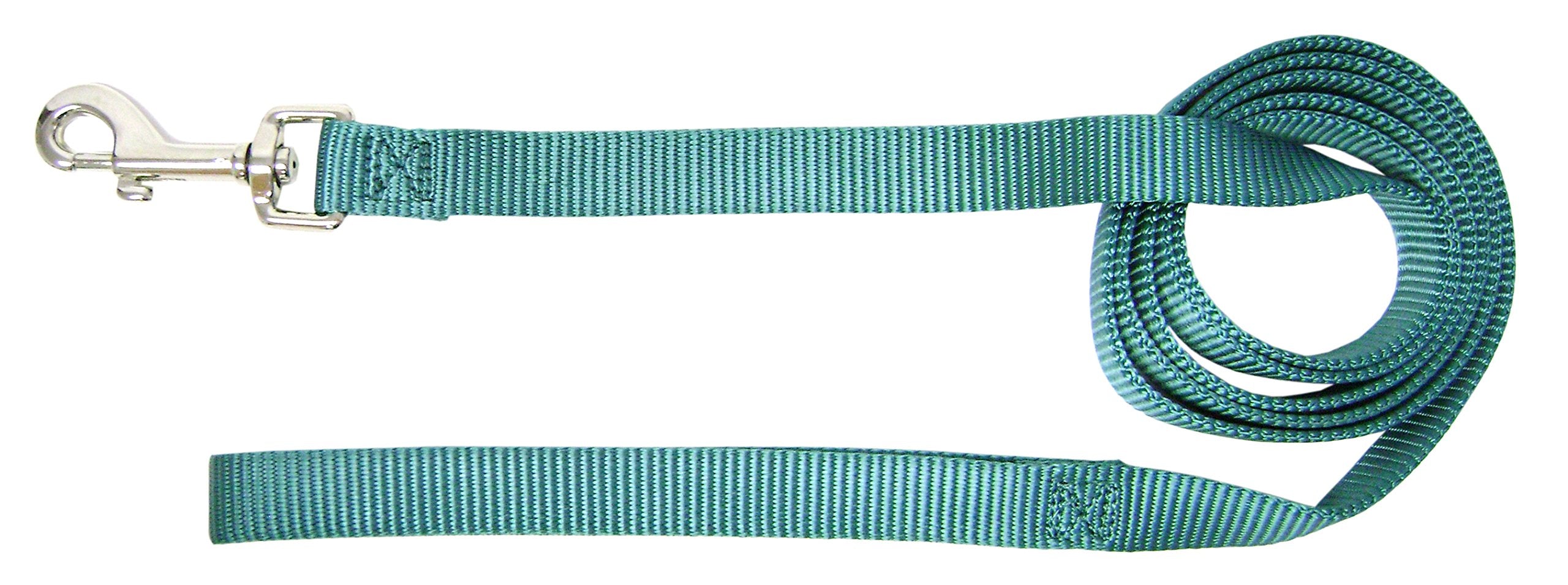 Hamilton Single Thick Nylon Dog Lead, 1-Inch By 6-Feet, Teal
