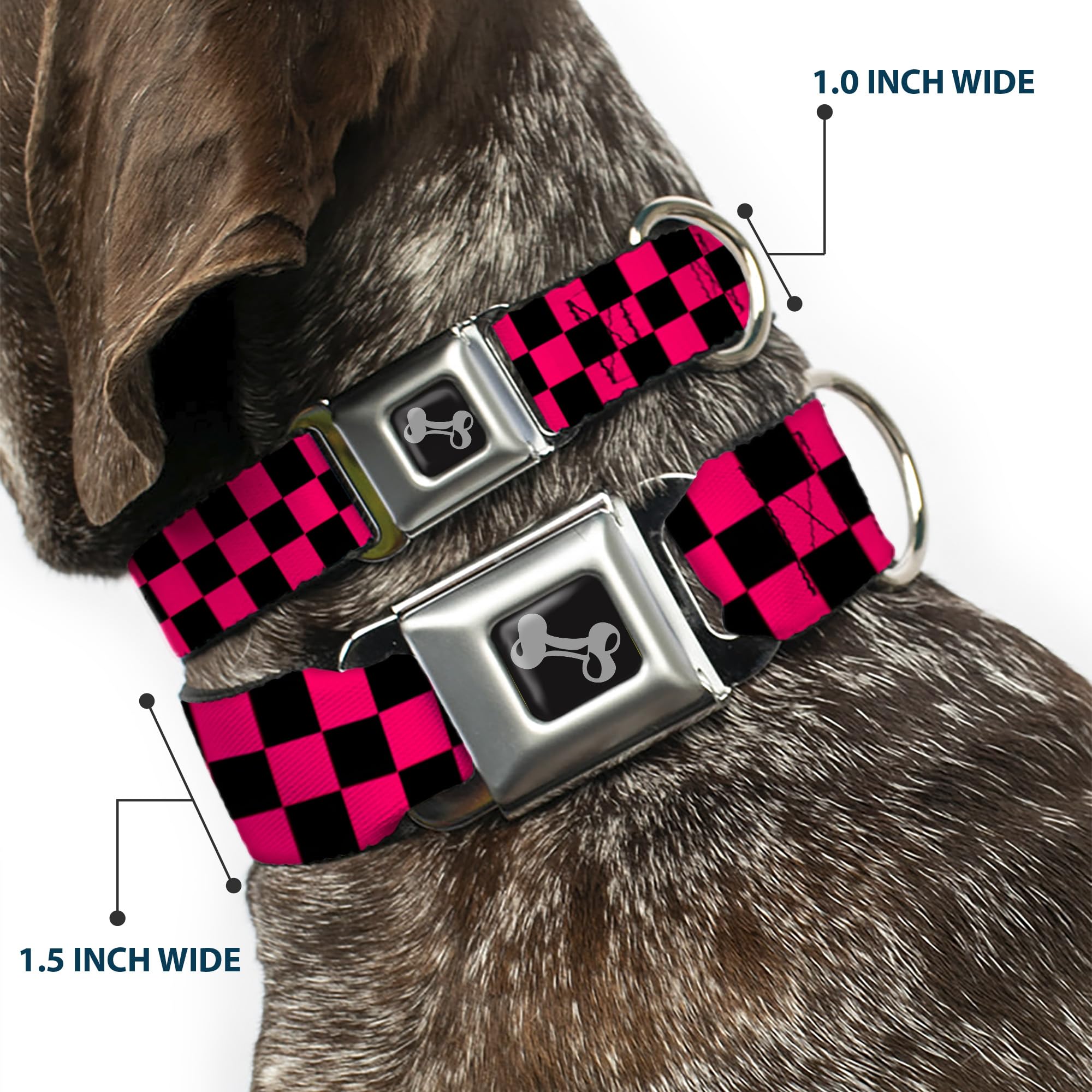 Buckle-Down Seatbelt Buckle Dog Collar - Checker Black/Neon Pink - 1'' Wide - Fits 9-15'' Neck - Small