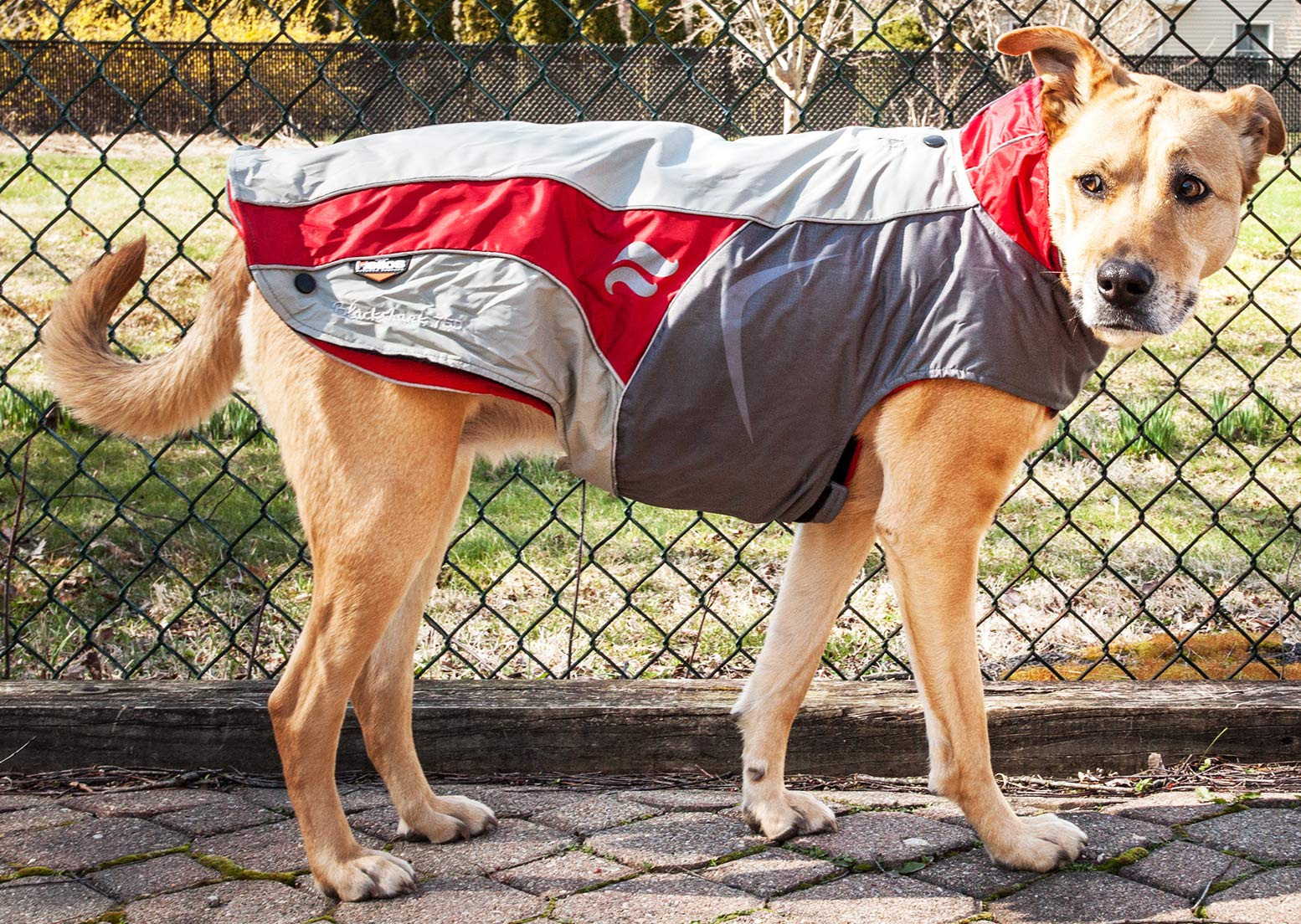 DOGHELIOS Lotus-Rusher Waterproof 2-in-1 Pet Dog Jacket Coat with Removable Polar Fleece Lining w/ Blackshark technology, Smal