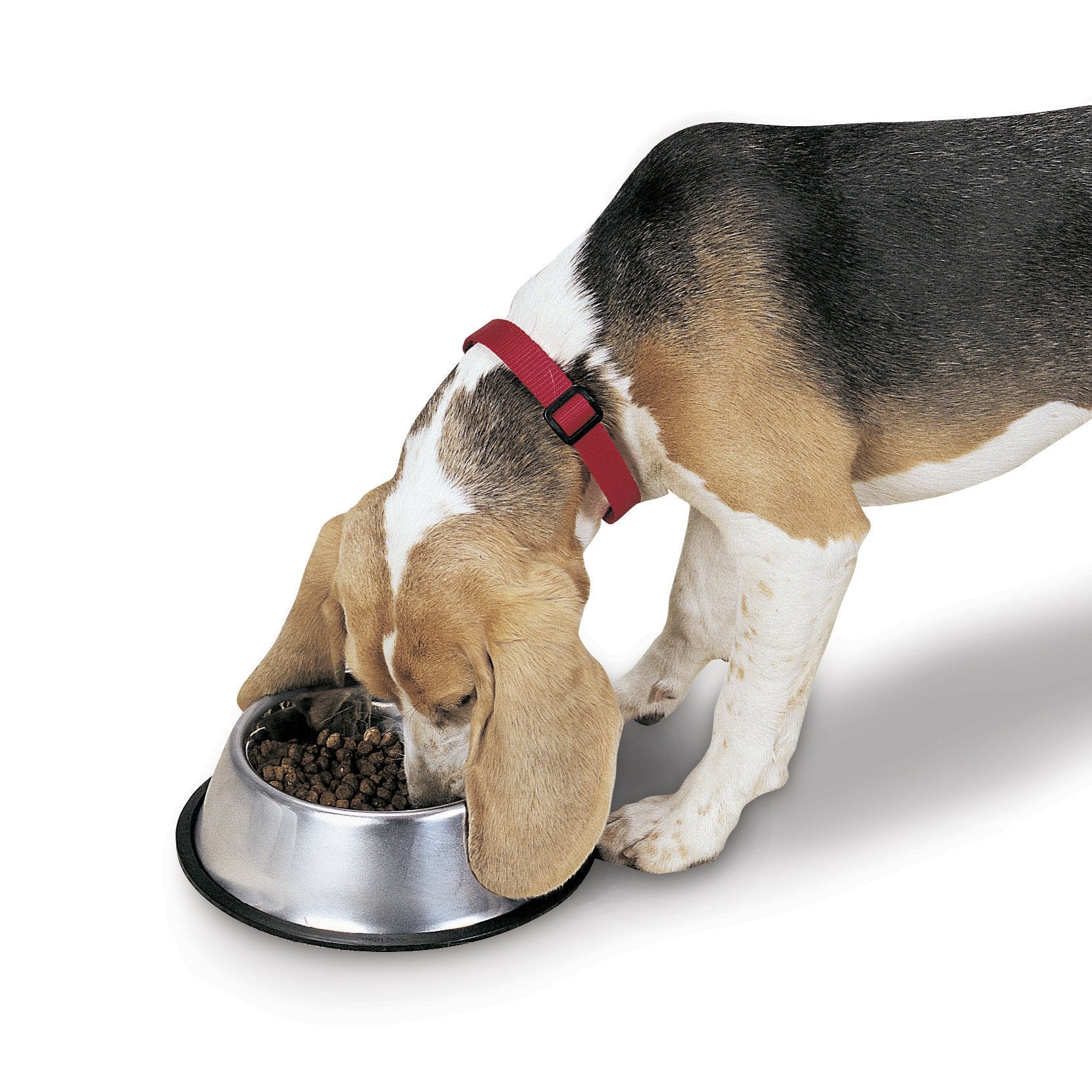 Proselect Stainless Steel X-Super Heavyweight Non-Tip Pet Bowl, 9-Inch, 3-Quart