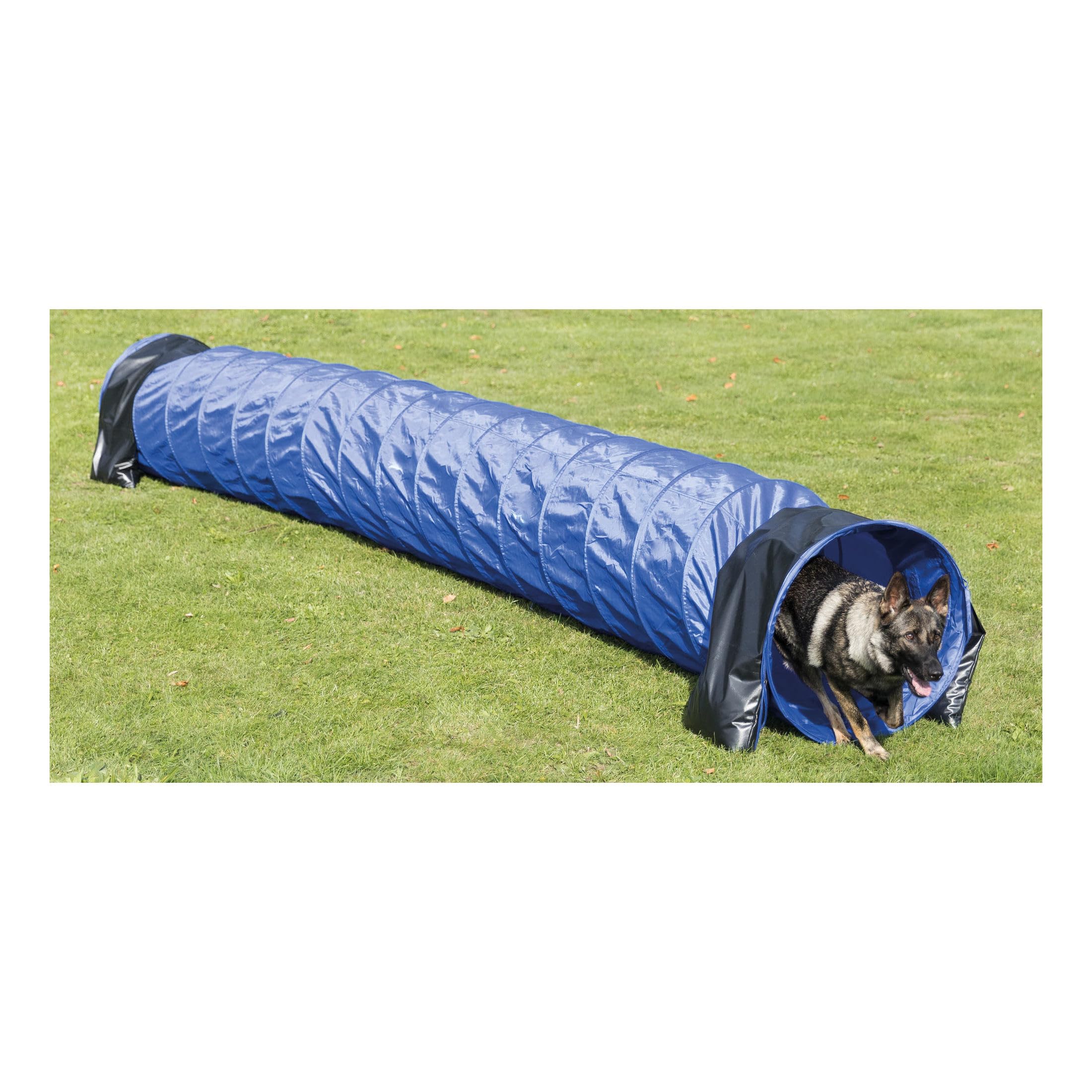 TRIXIE Dog Agility Tunnel - Portable 196.9" Long, 23.6" Diameter, Blue Polyester Training Equipment for Large Dogs, Model 3211