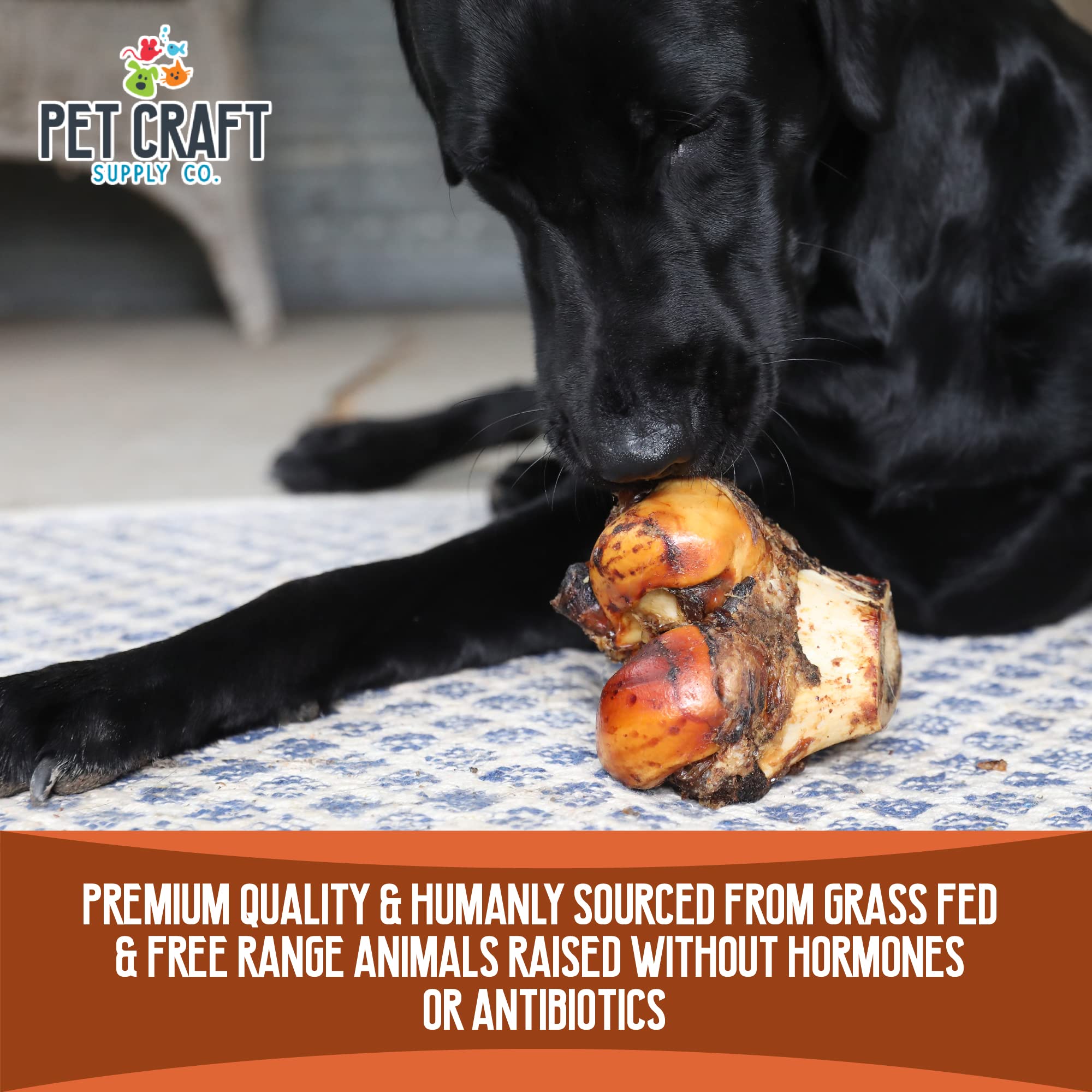 Pet Craft Supply ALL Natural Healthy Buffalo Femur Center Knuckle Bones Dog Chews Treats for Aggressive Chewers Long Lasting Raw