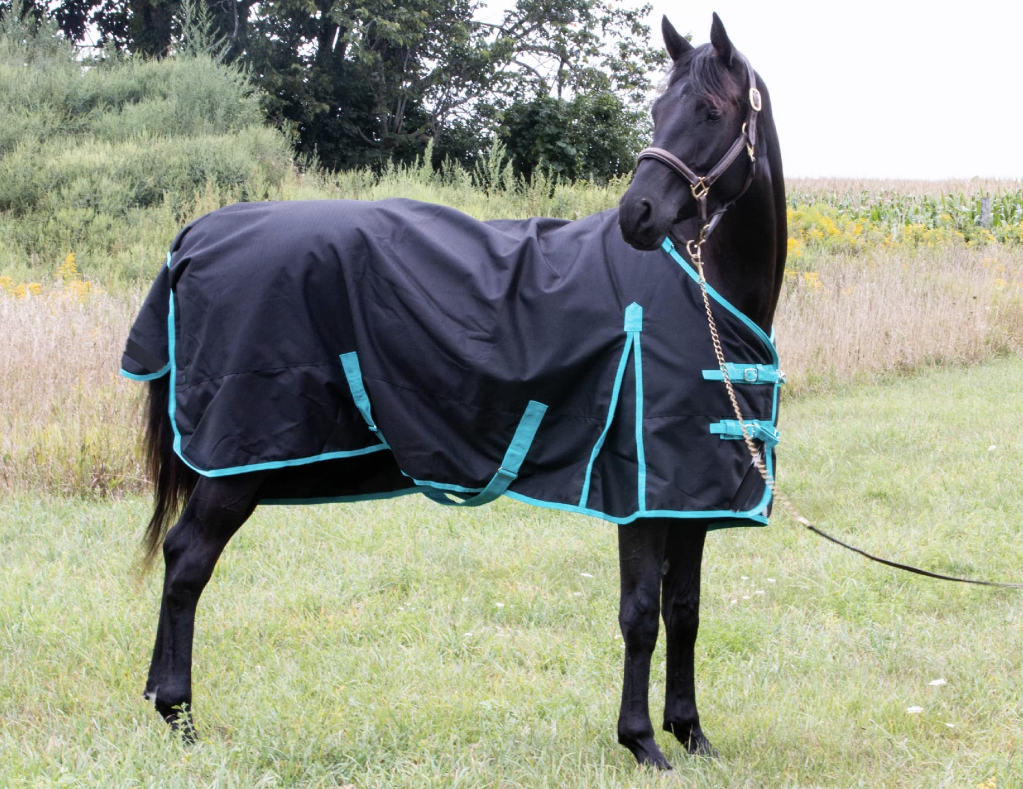 1200 Denier Horse Rain Sheet (Waterproof/Breathable & Wind Proof Turnout Sheet) Horse Breathable Rainsheet (Black-Turquoise, 82)