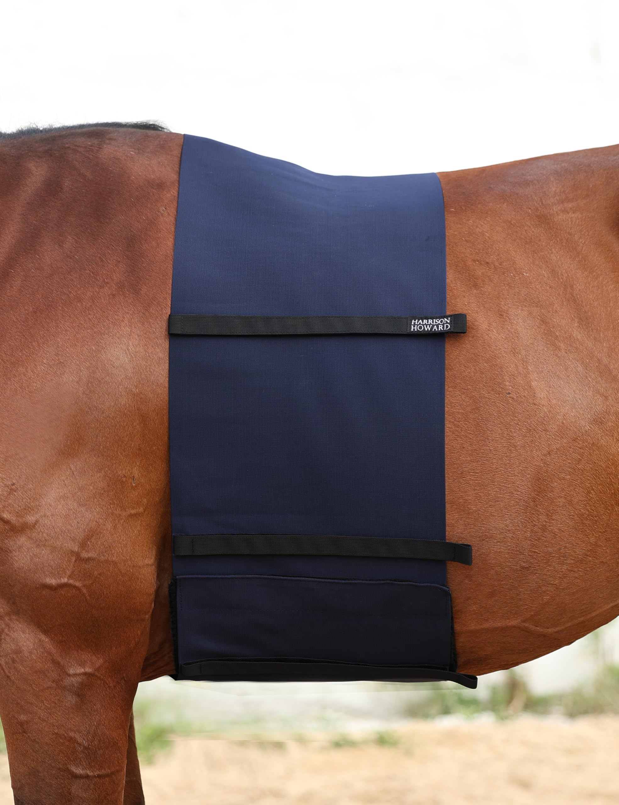 Harrison Howard Horse Belly Guard Body Bandage Wrap Spur Mark Protector Belly Cover Skin Guard Navy M