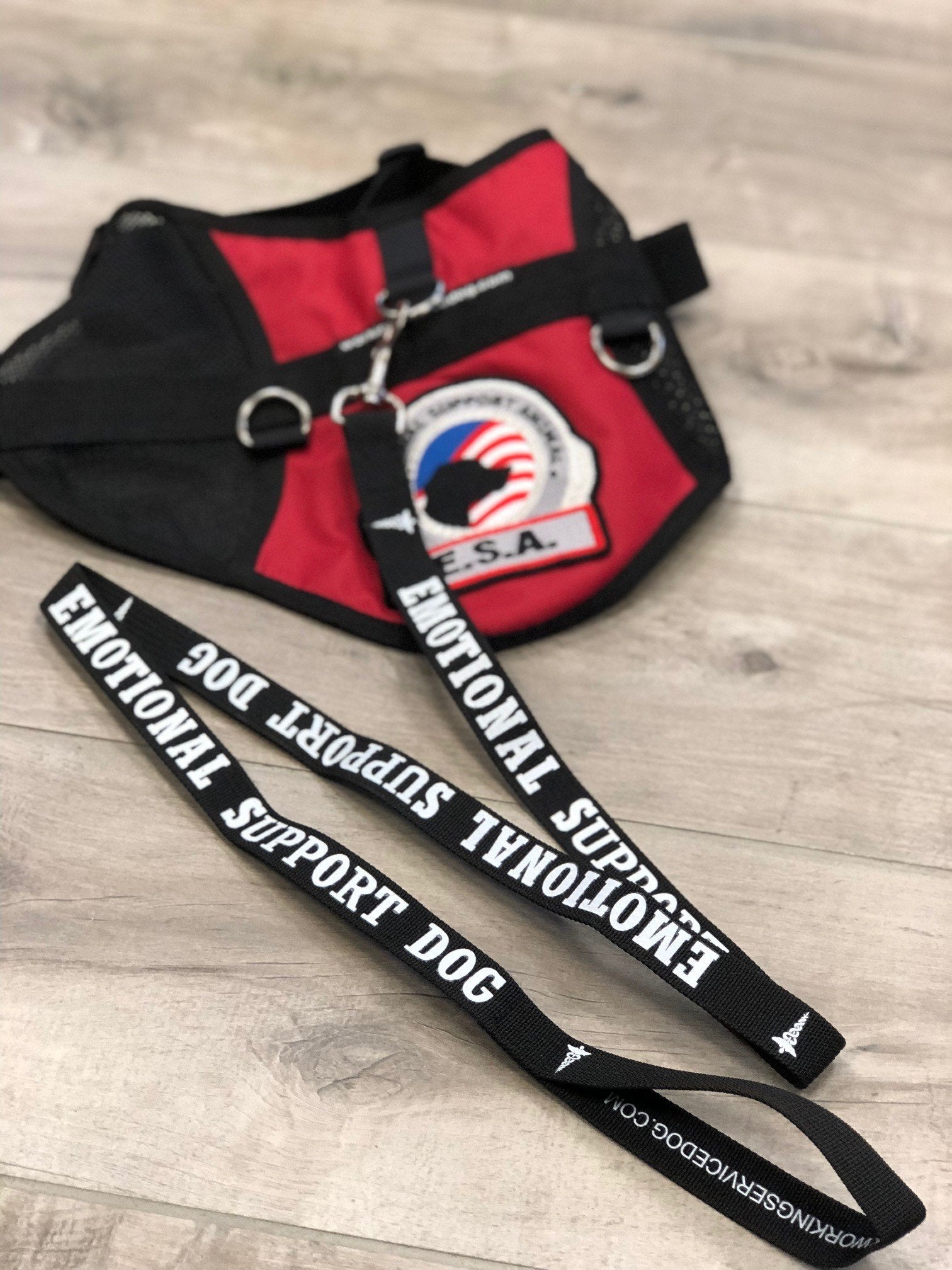 Workingservicedog.Com Emotional Support Dog Leash - Great Identification With Or Without An Emotional Support Animal Vest - Includes Five Esa Information Cards