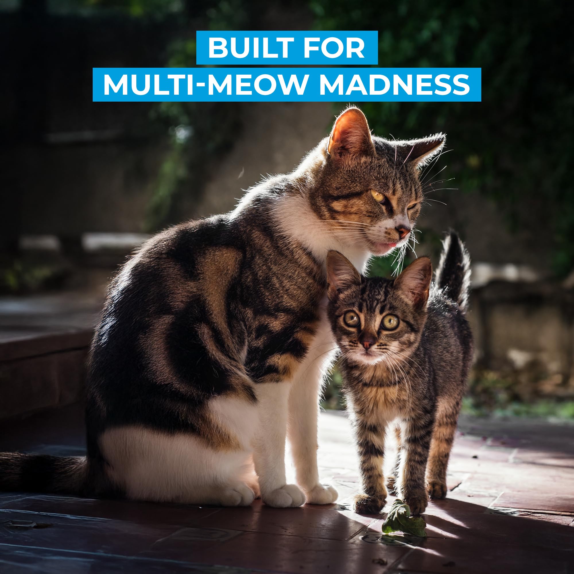 Cat Litter Deodorizer, Pet Safe Litter Box Odor Eliminator & Housebreaking Aid for Cats, Kittens, & Small Pets, Natural Non Toxi
