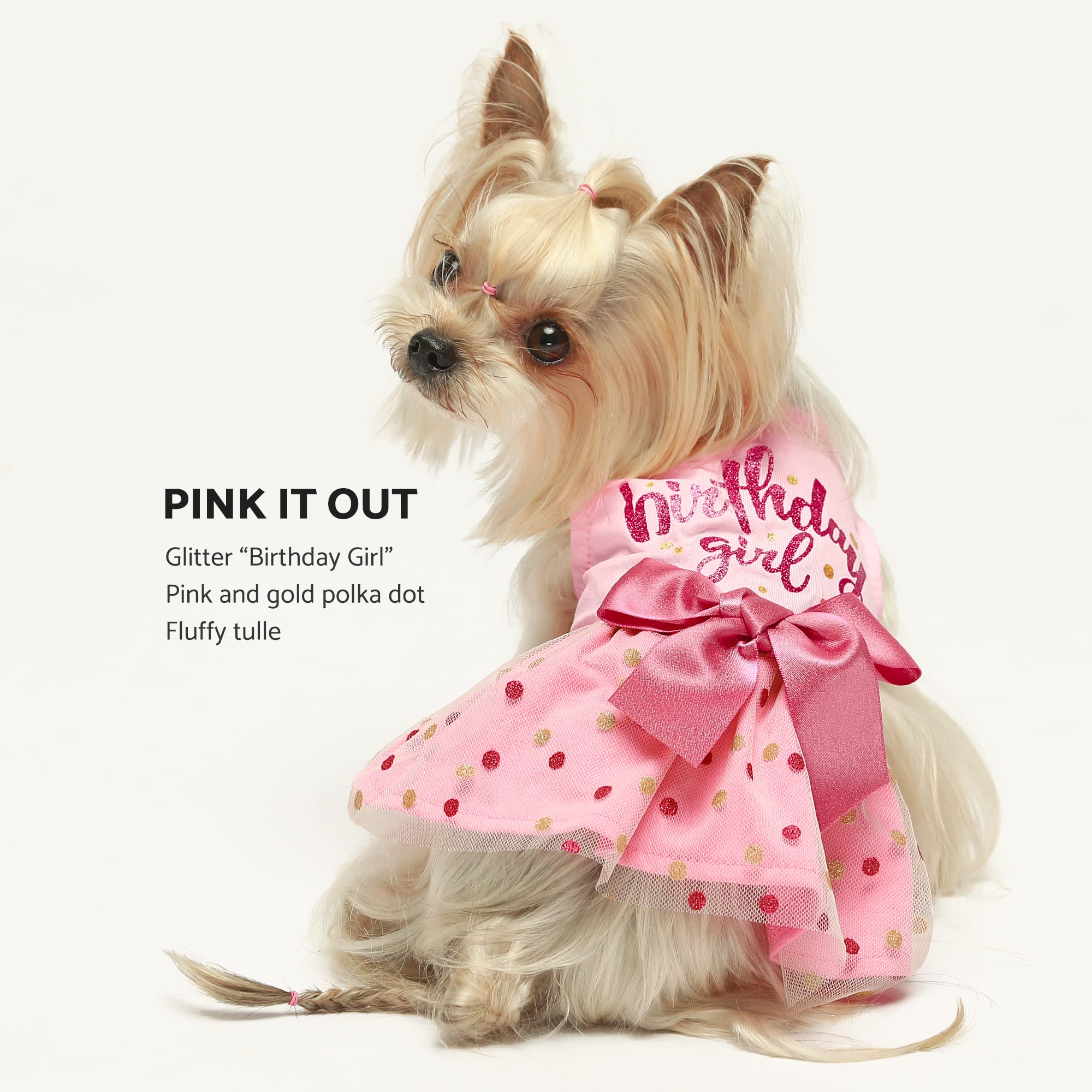 Fitwarm Birthday Girl Dog Tulle Dress, Dog Clothes For Small Dogs Girl, Cat Apparel, Pink, Xx-Small