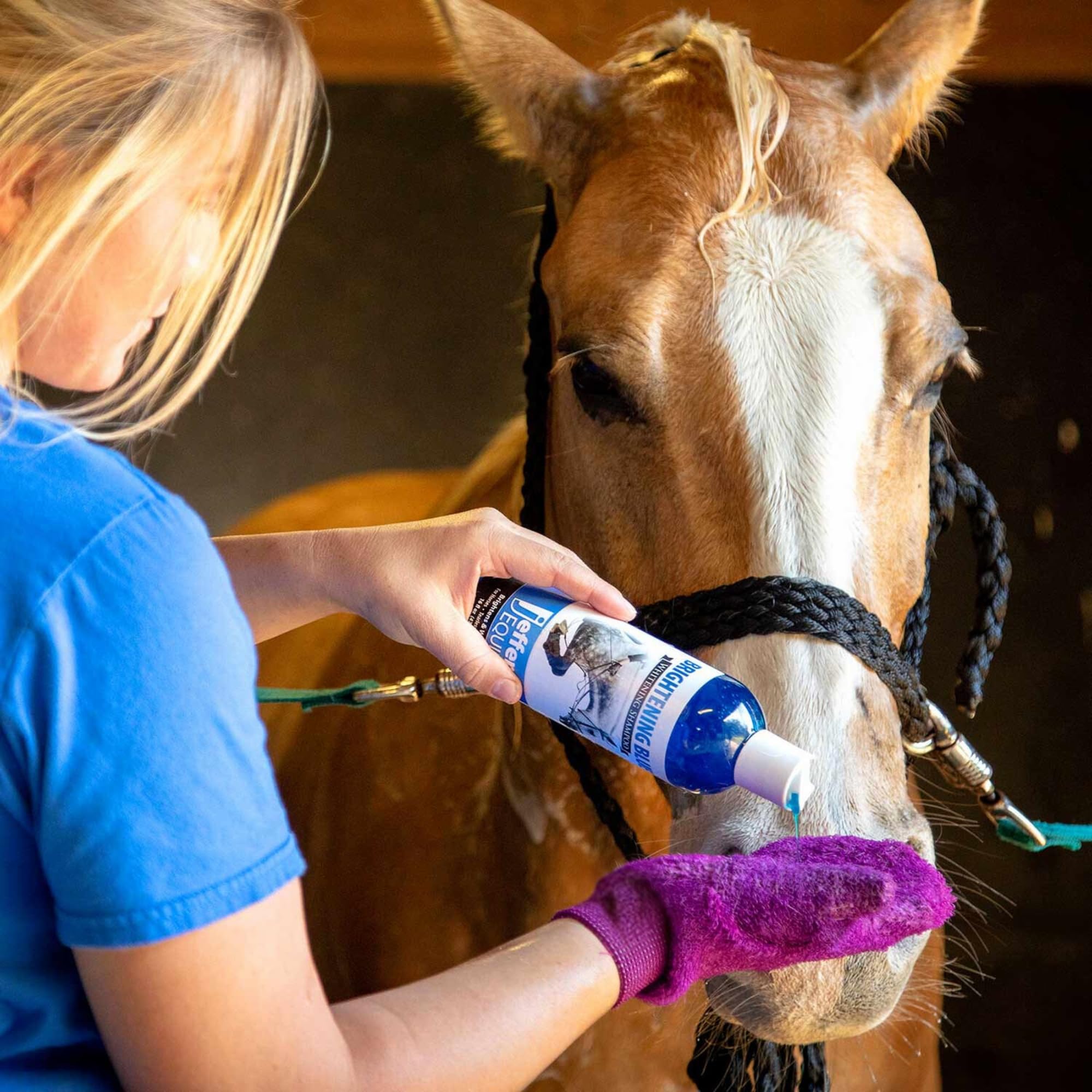 Jeffers Equine Brightening Blue Shampoo For Horses, 32 Oz - Enhanced Whitening & Stain Remover, Coconut Oil, Aloe, Gentle Groomi