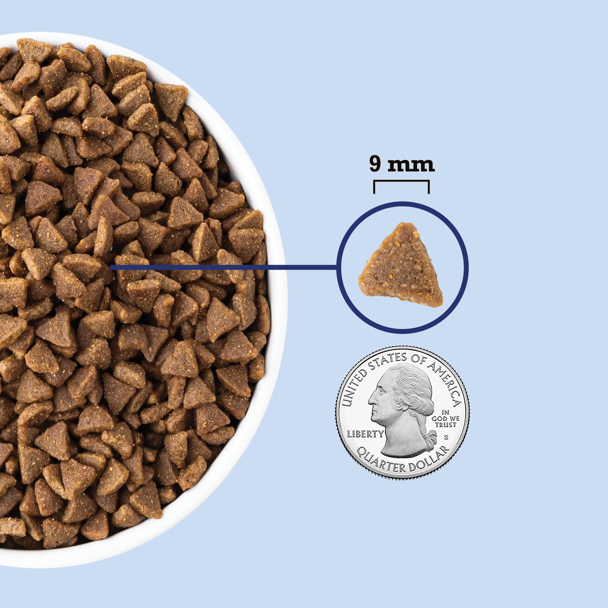ACANA Indoor Entr  e Fish Recipe Cat 4LB