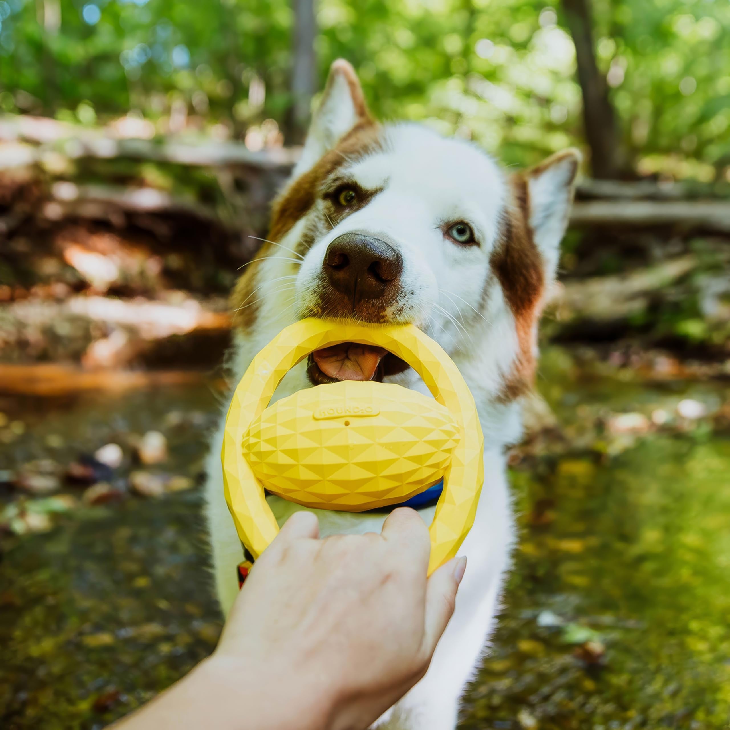 Hound2O Outdoor Dog Toys - Tug Ball, Yellow - Tough, Engaging, & Interactive Chew Toys - Chew, Chase, & Fetch - Durable Material