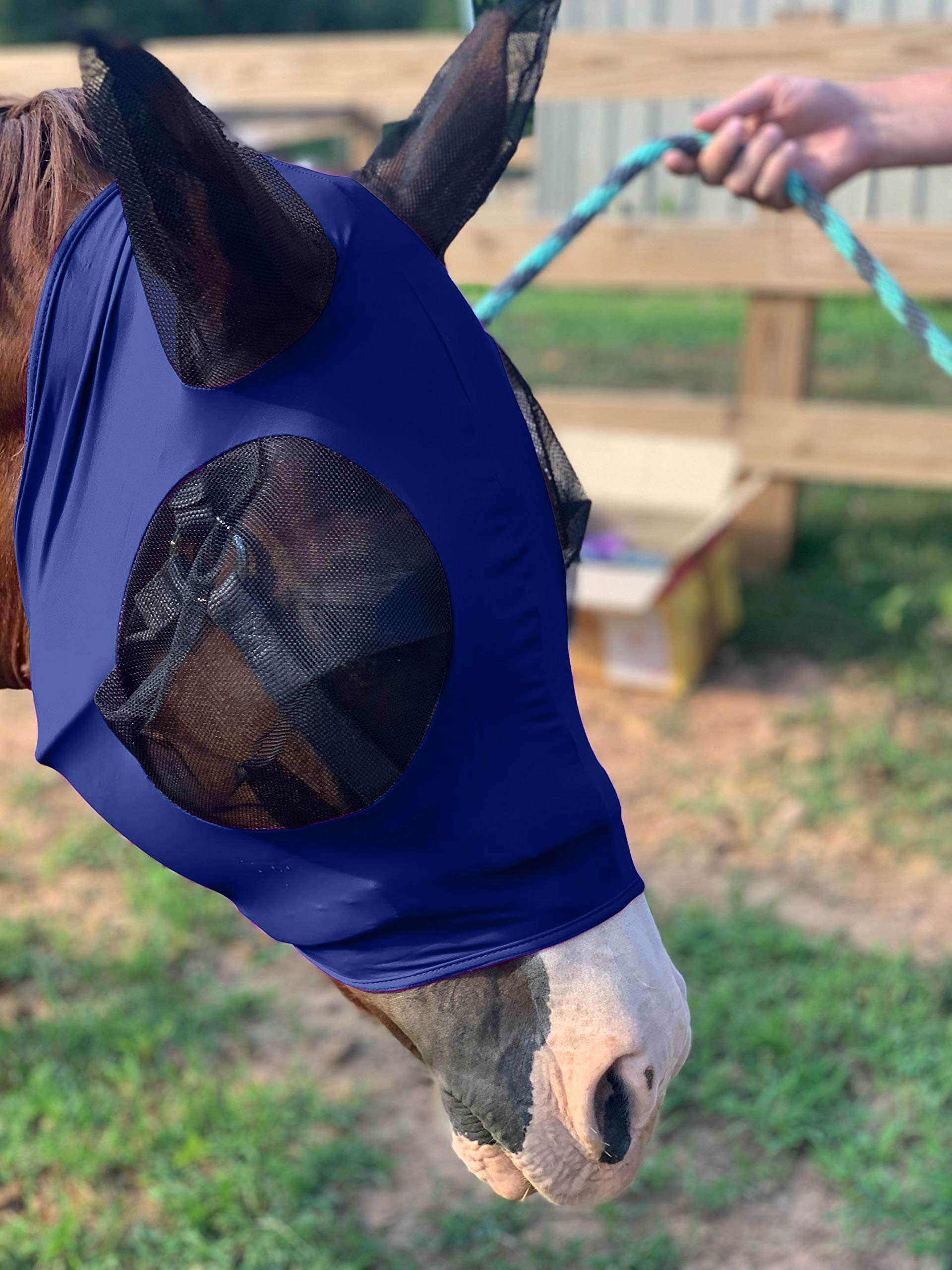 Horse Fly Mask with Ears Comfort Fit Mesh Trail Pasture Sun UV Protection (Arab/Cob/Small Quarter, Navy Blue)