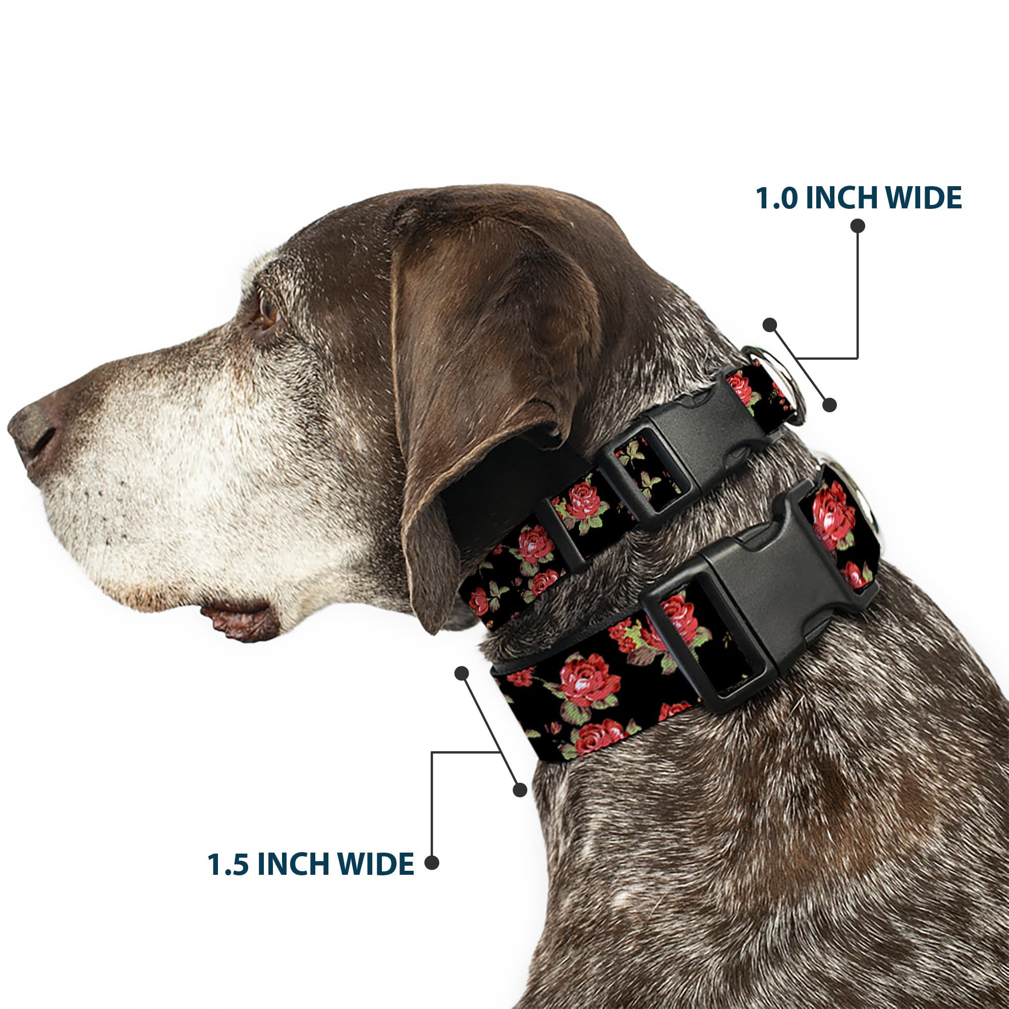 Buckle-Down 9-15'' Red Roses Scattered Black Plastic Clip Collar, Small