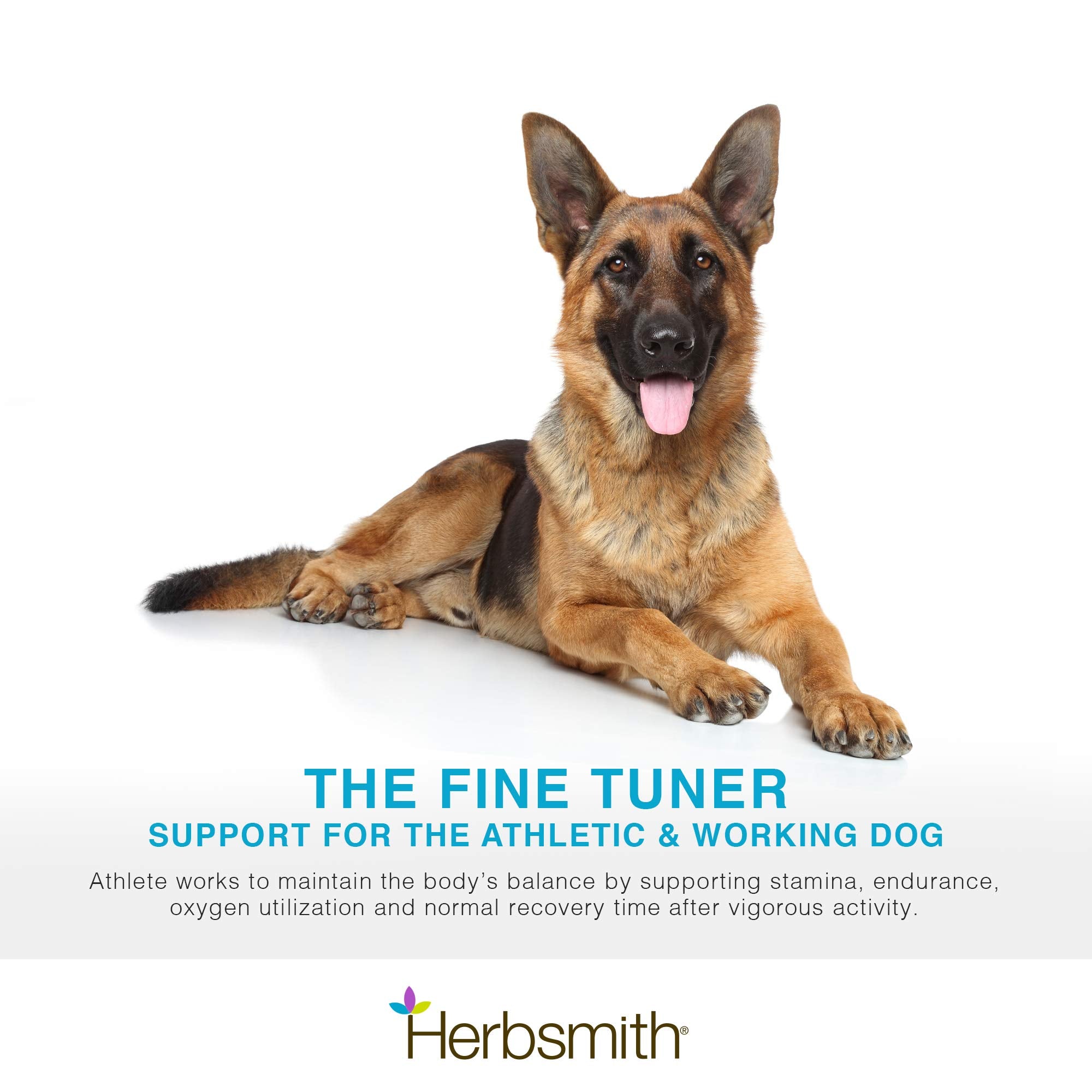 Herbsmith Athlete - Canine Endurance Supplement for Working and Agility Dogs - For the Canine Athlete - 500g Powder