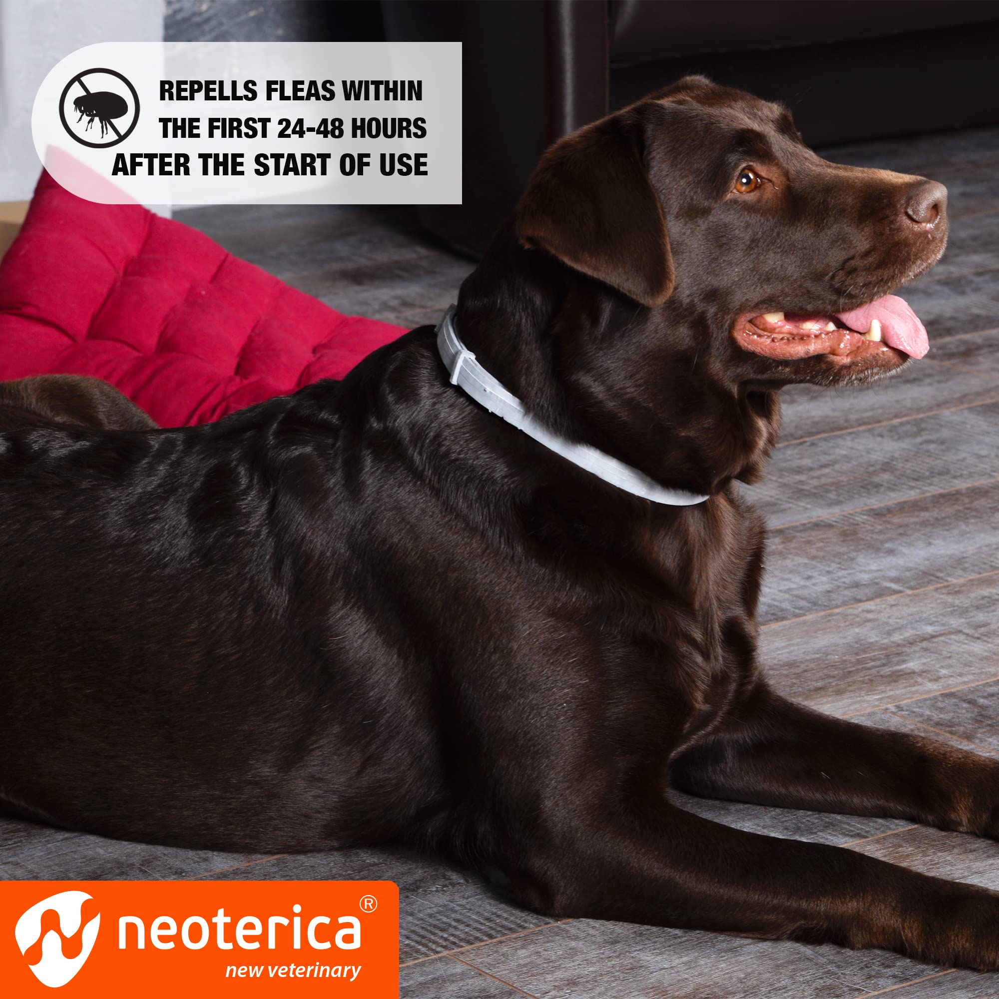 Natural Flea & Tick Collar for Dogs - 6 Months Control of Best Prevention & Safe Treatment - Anti Fleas and Ticks Essential Oil Repellent (1 Count (Pack of 1)) -Like New