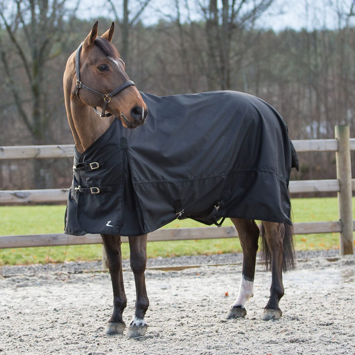 HORZE Nevada 1200D Lightweight Waterproof Horse Turnout Rain Sheet (No Fill) - Black - 63 in