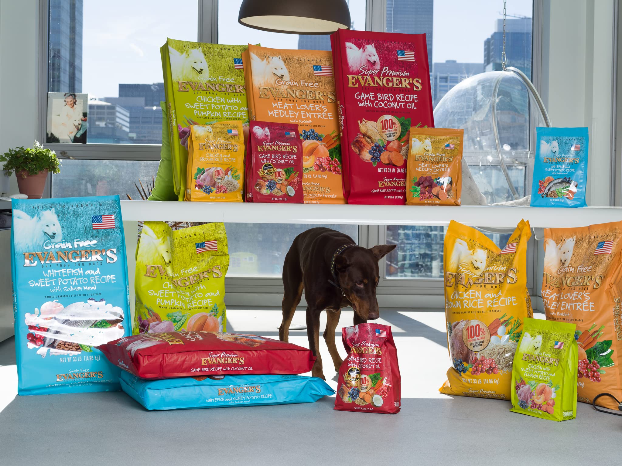 Evangers Super Gamebird Recipe with Coconut Oil Dry Food for Dogs - 33 lbs - Pea & Chicken Free, Hypoallergenic, Turmeric & Kal