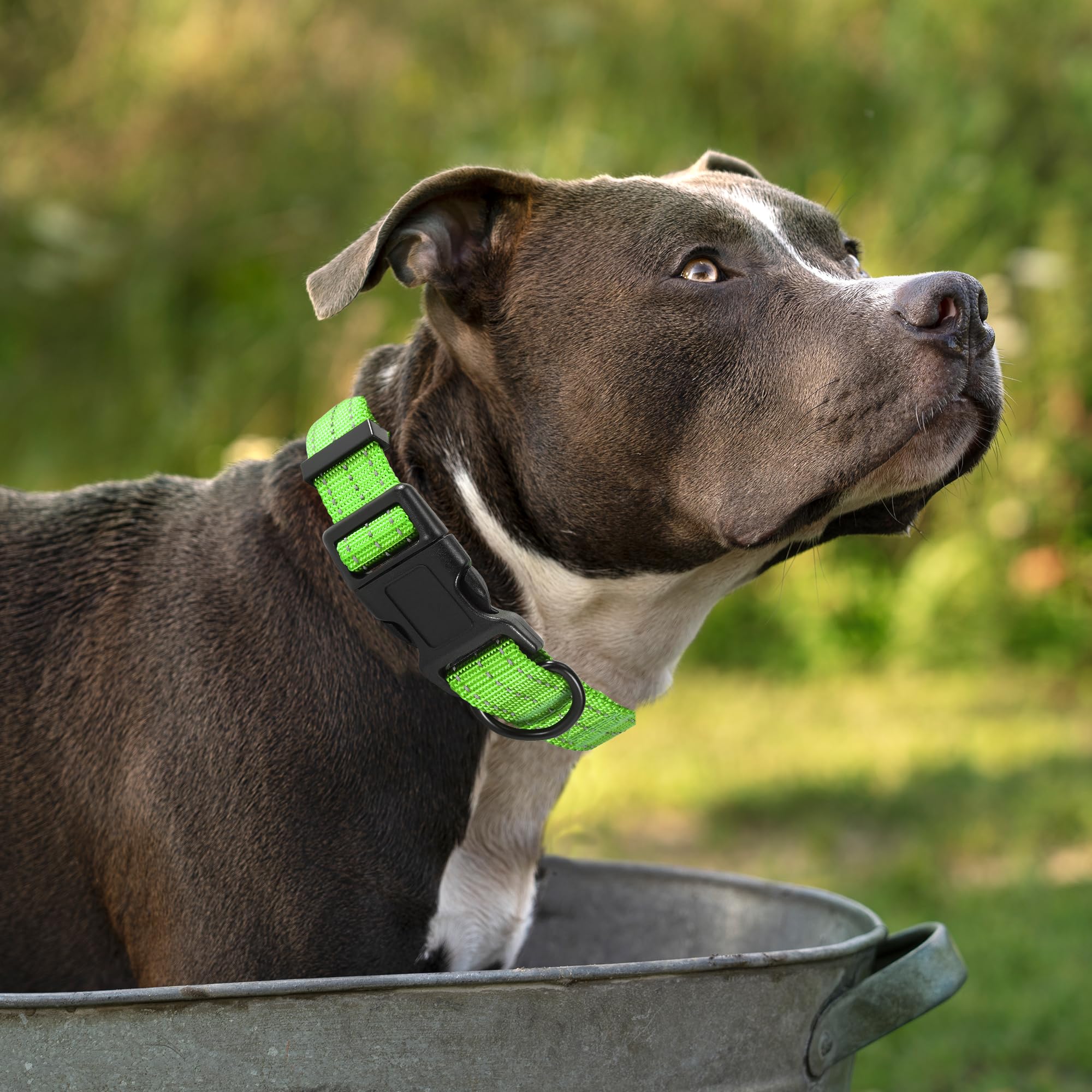 Mile High Life Dog Collar | Nylon Reflective Dog Collars | Light Weight Puppy Collars | Lime Green Dog Collars For Small Dogs (S