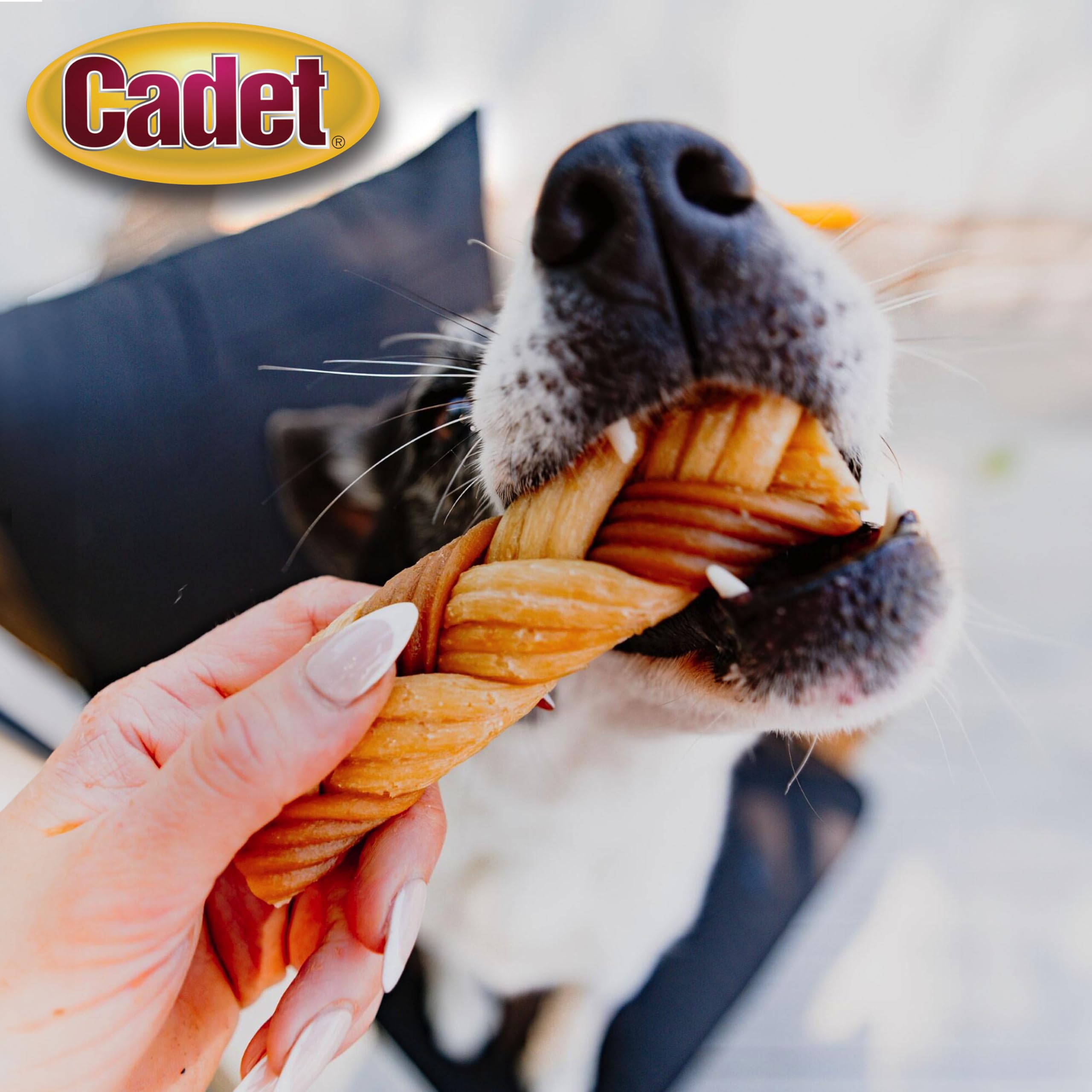Cadet Chewalicious Chewy N Crunchy Braid Dog Treats, Limited Ingredient, Rawhide-Free, Long-Lasting Chews for Dogs Made with Re