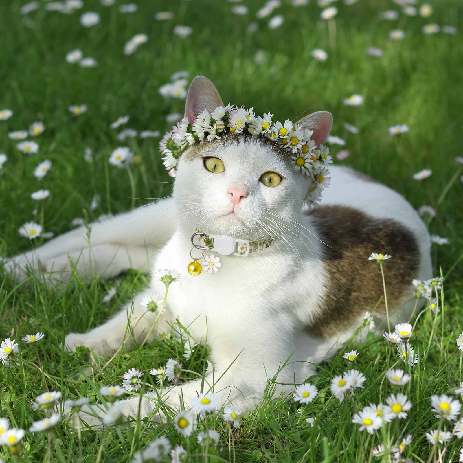 Lafayi 4 Pack Cotton Breakaway Cat Collar With Bell & Flowers Pendant,Cute Pet Kitten Collar For Girl Boy Cats,Pet Supplies,Stuf