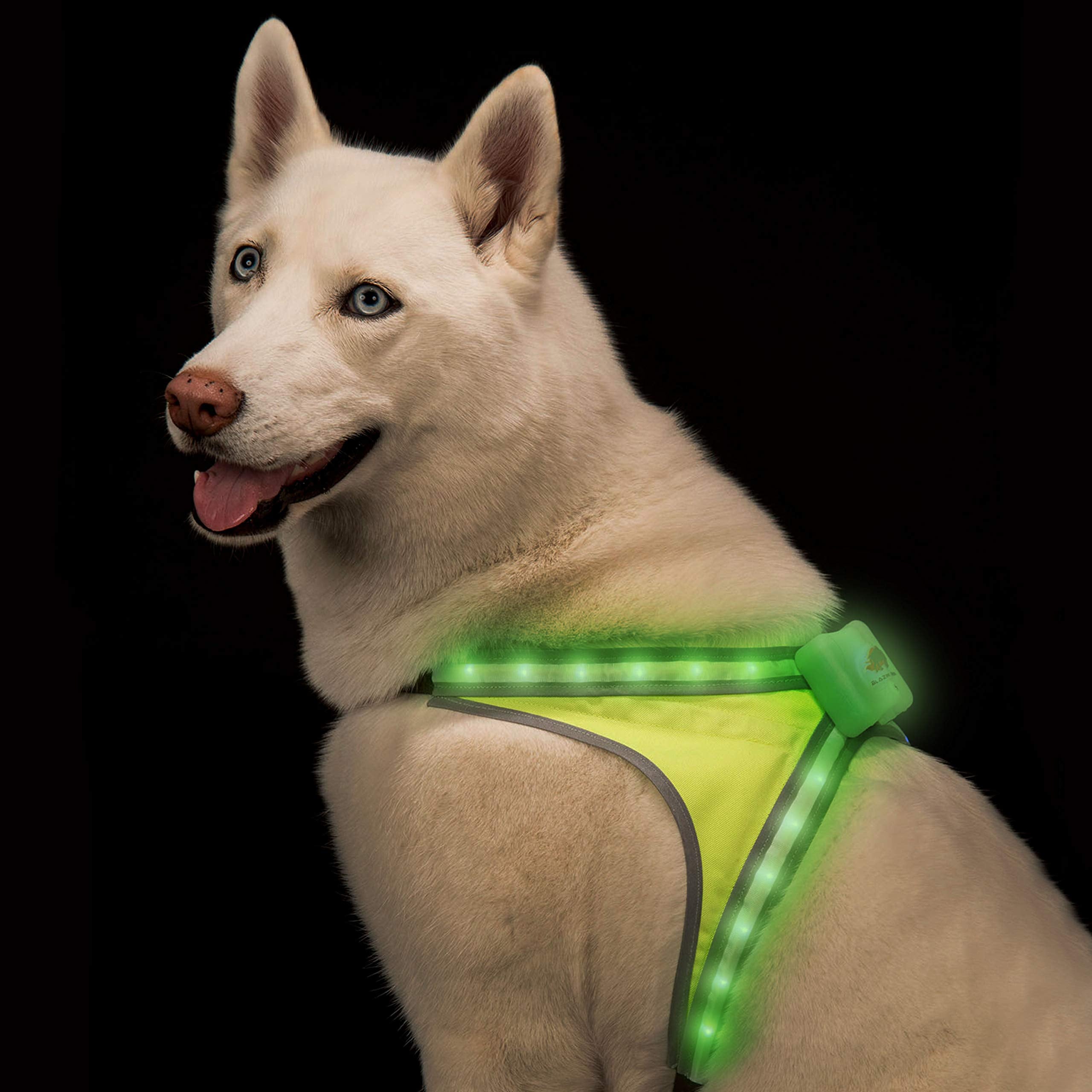 Blazin Safety Light Up Dog Harness - See Your Dog From 1000 Feet Away - Usb Rechargeable, Waterproof, Lightweight, Adjustable - 8 Led Colors And 6 Flashing Modes - Up To 15 Hour Runtime (Large)