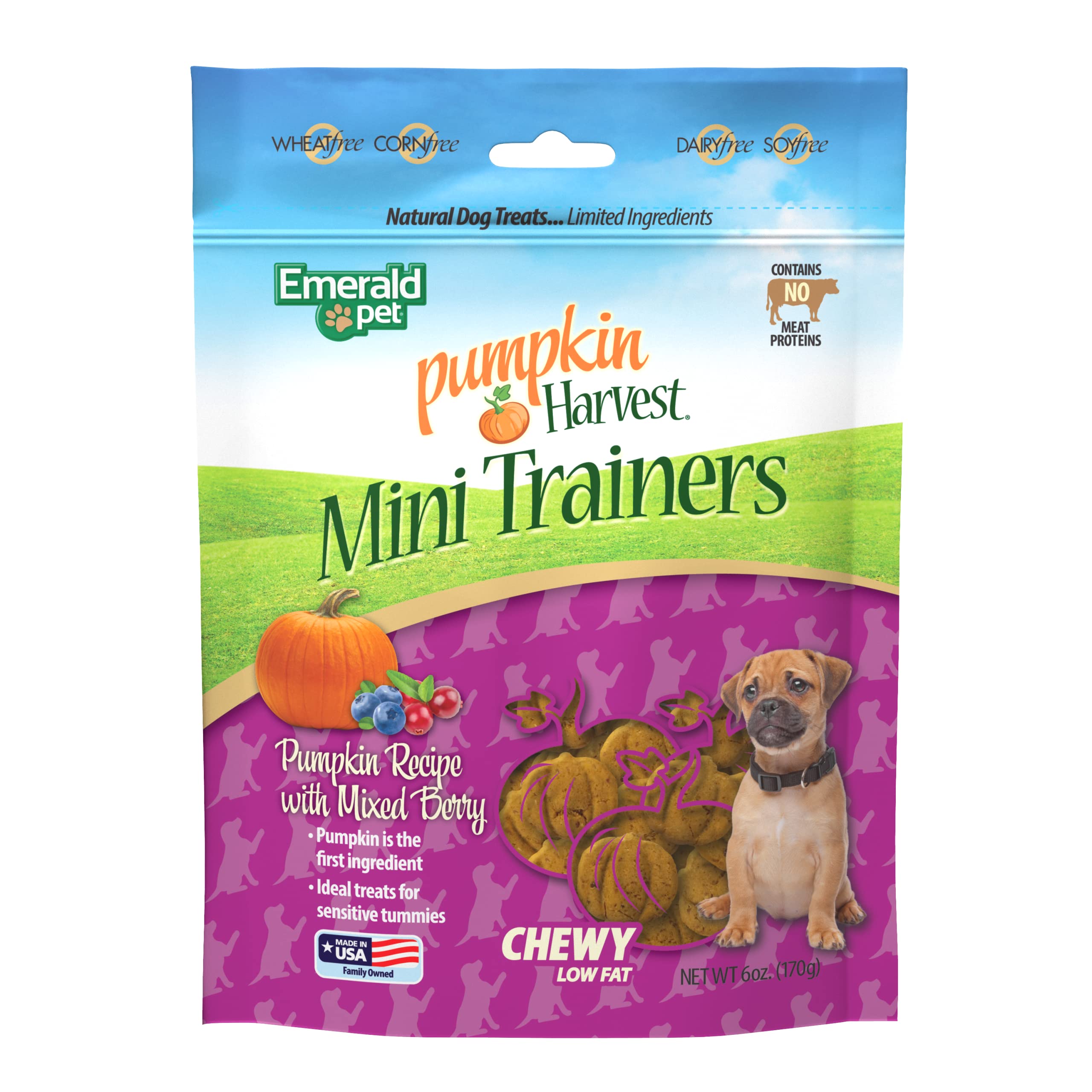 Emerald Pet Pumpkin Harvest Mini Trainers with Mixed Berries Chewy Dog Treats