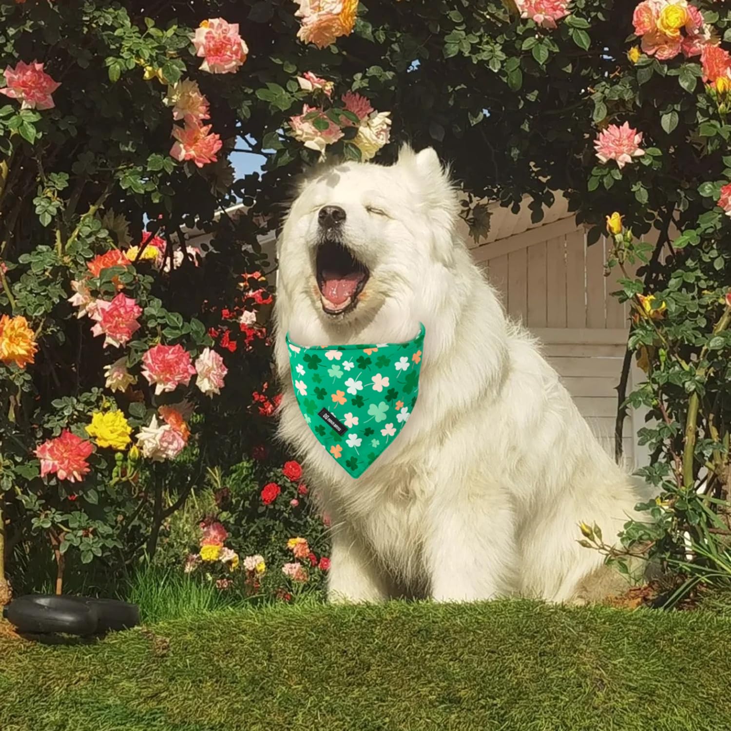 Maca Bates 2 Pack St Patricks Day Dog Irish Clover Bandana Bulk Saint Patrick'S Shamrock Clovers Green Dogs Scarf Soft Puppy Ban