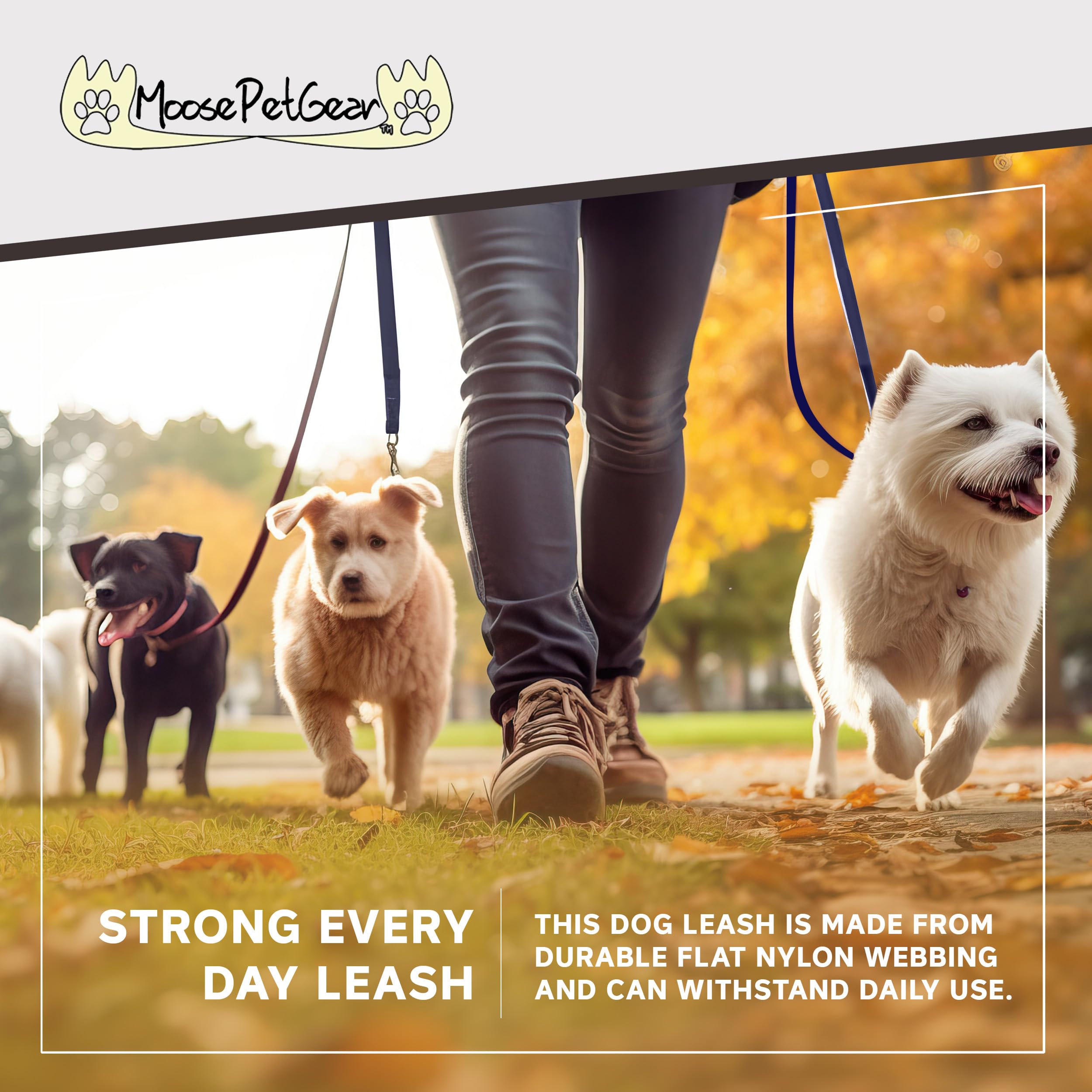 Moose Pet Wear Standard Dog Leash - Colored Heavy Duty Pet Leashes, Made In The Usa - 1 Inch X 6 Feet, Navy Blue