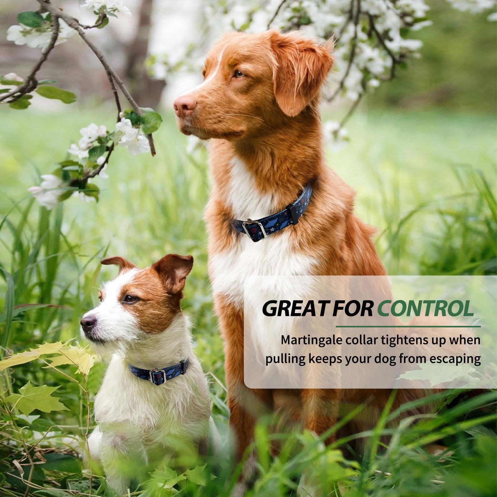 Hikiko Martingale Collar For Dogs With No Buckle Starfish Blue Dog Collars For Large Dogs,Submarine,L