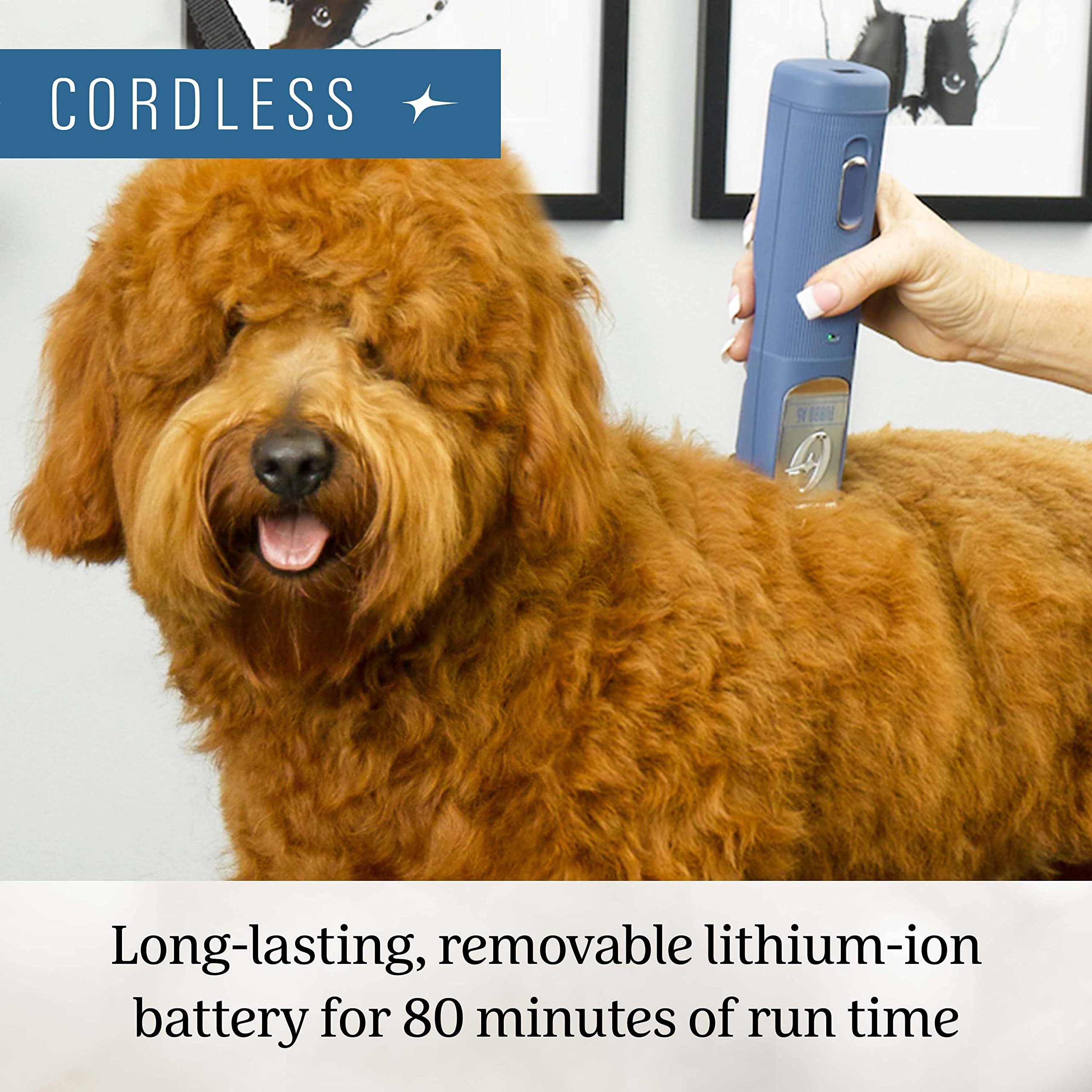 Oster Professional Cordless Turbo A5 Animal Clipper with Lithium-Ion Battery, Detachable Blade, Blue for dogs