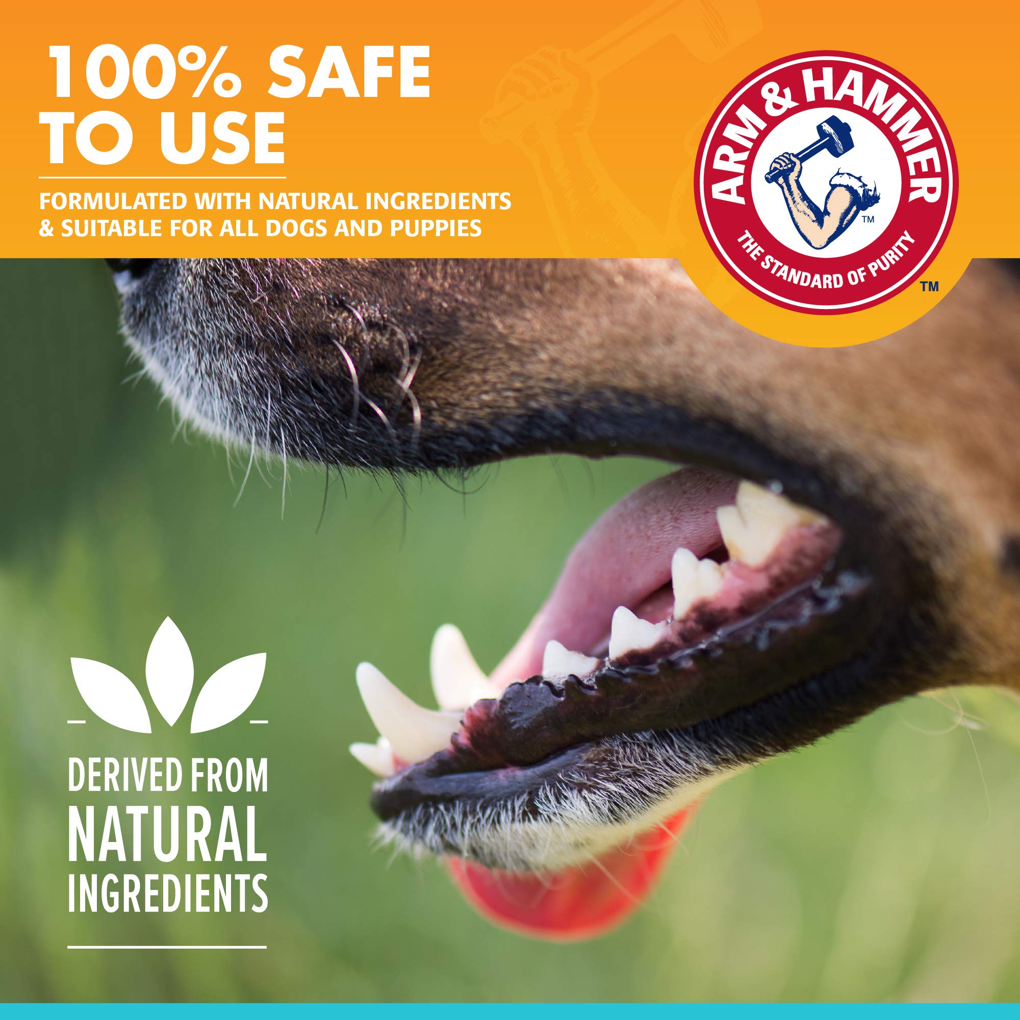 Arm & Hammer Dog Oral Care Spray - Fresh Breath & Teeth Cleaning - 4 Oz, Mint Flavor