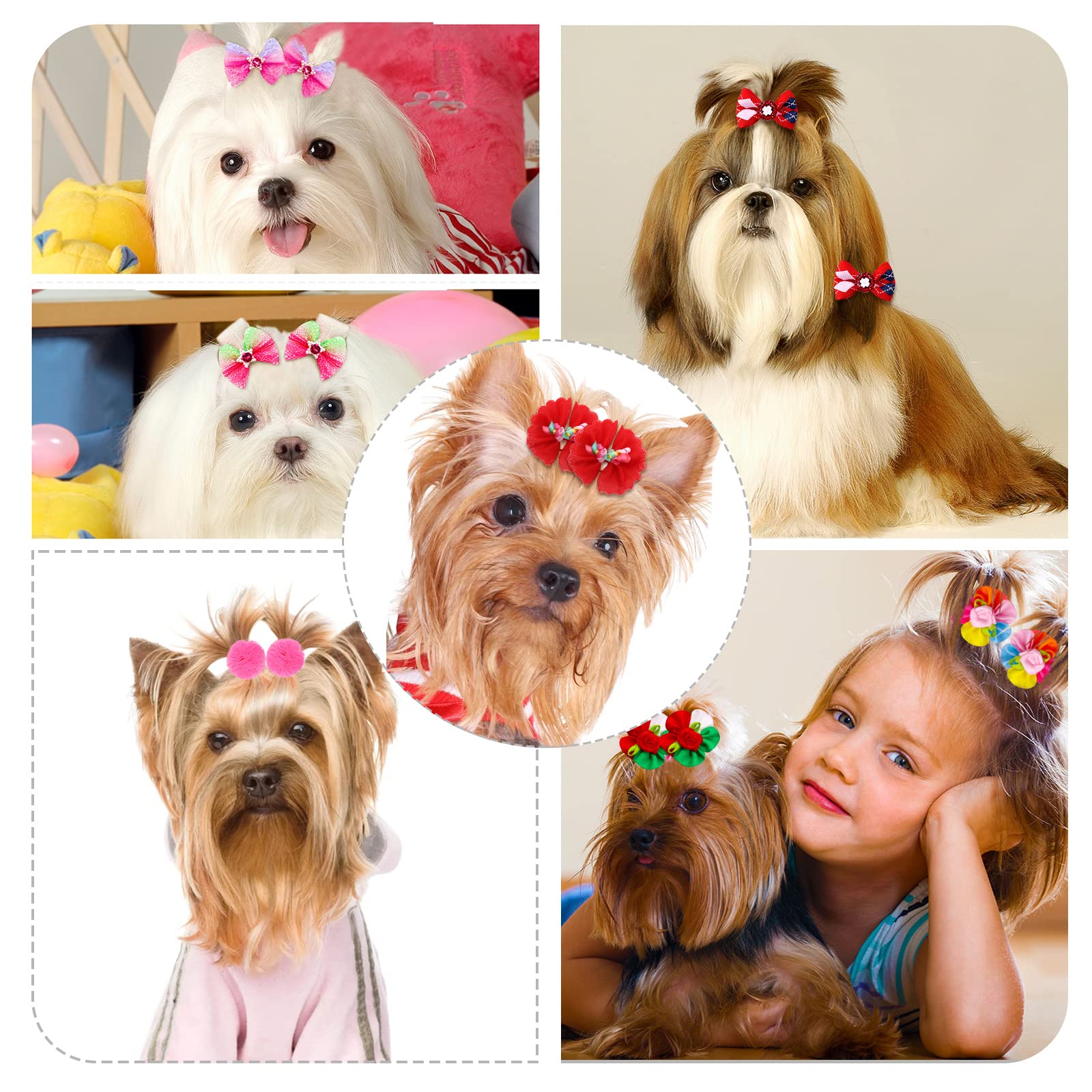 Mruq Pet 100Pcs Dog Hair Bows, Bulk Pet Small Dog Bows Girl With Rubber Bands, Tiny Dog Hair Grooming Bows, Mix Dainty Puppy Dog