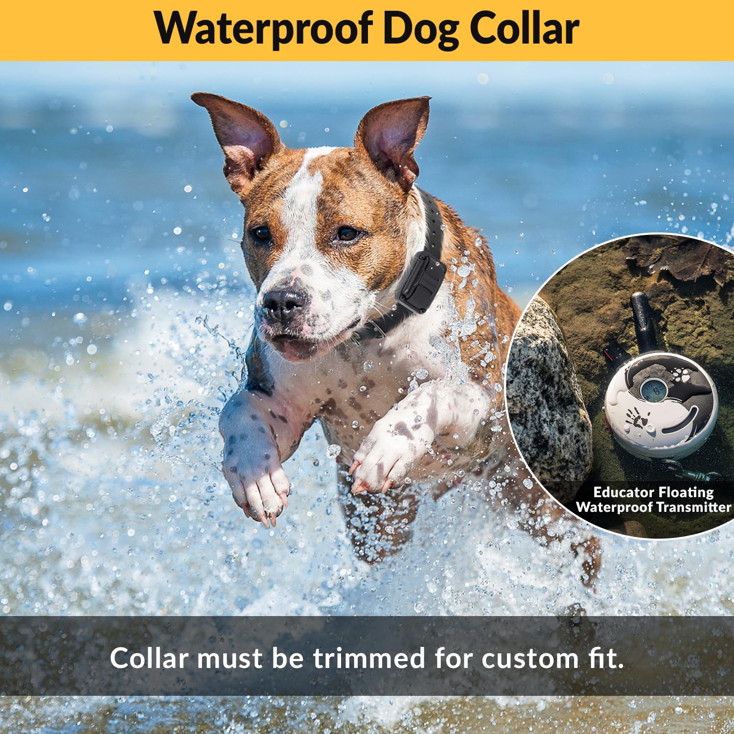 Mini Educator E-Collar Remote Dog Training Collar, Waterproof, 100 Levels, Vibration, Light, Sound, For 2 Dogs, Model ZEN-302, Zen Color