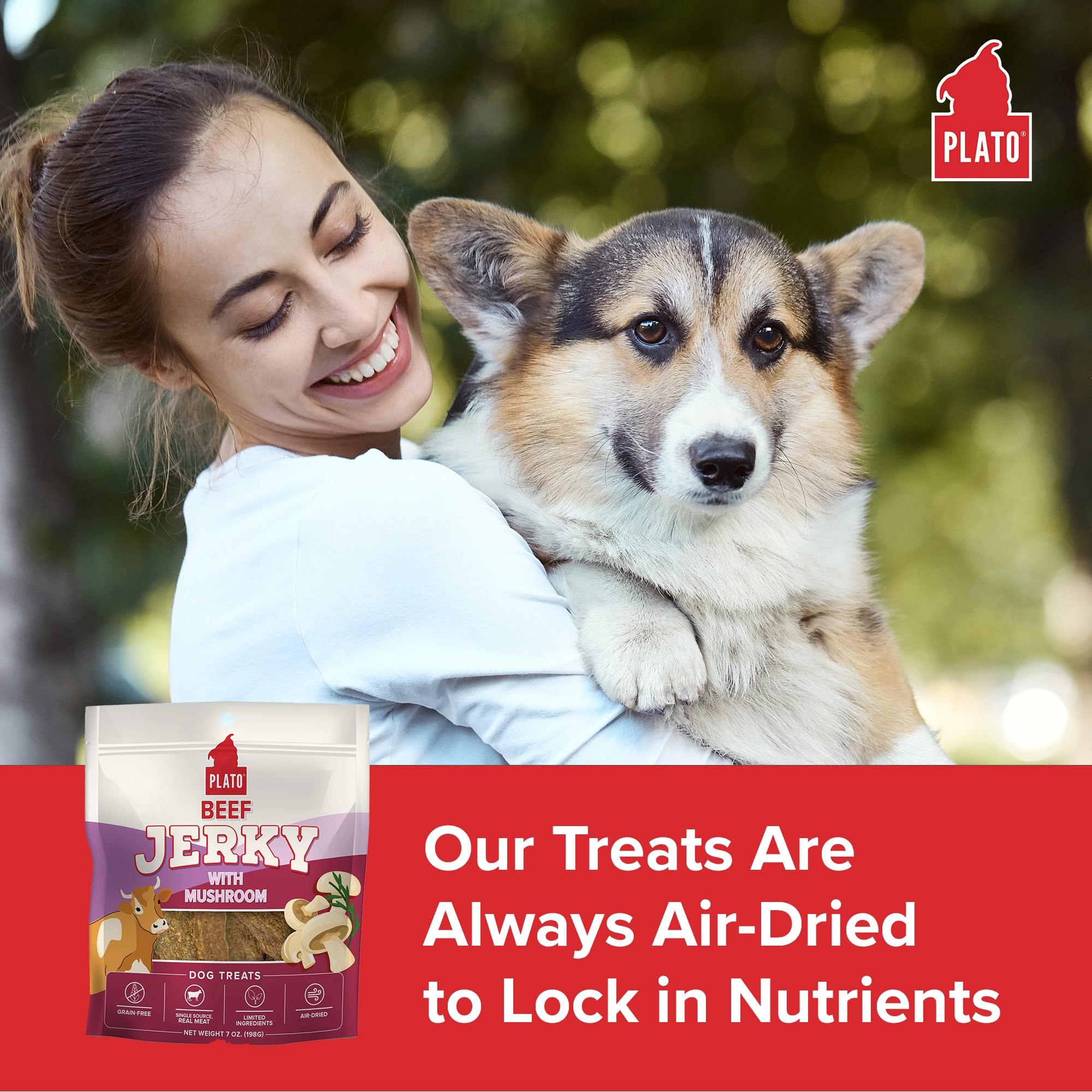 PLATO Jerky Dog Treats - Grain Free, High Protein Beef with Mushroom - 16oz