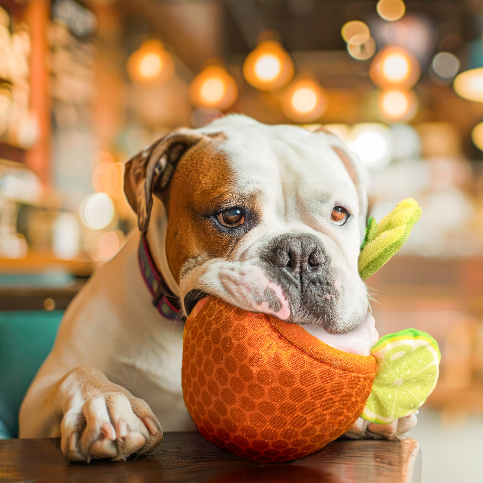 Bark Bros - Liquor Dog Toy - Plush Squeaky Funny Parody For Birthday - Cute Puppy Gifts For Small, Medium, Large Dogs (Moscow Dr