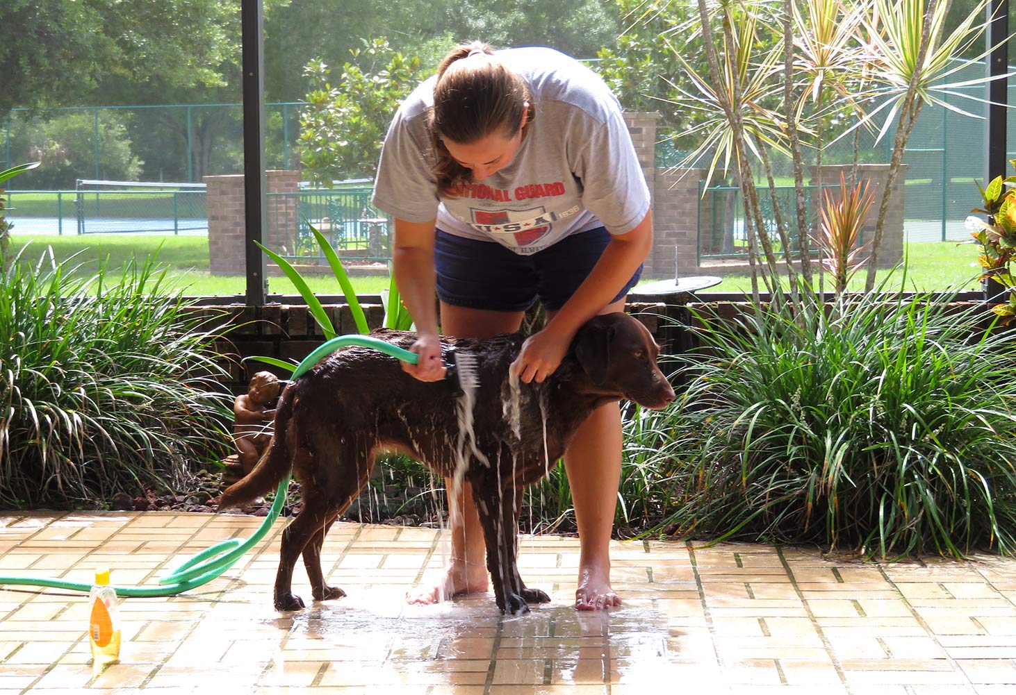 Dog Grooming Aqua Comb And Pic - Long Hair (Long Comb)