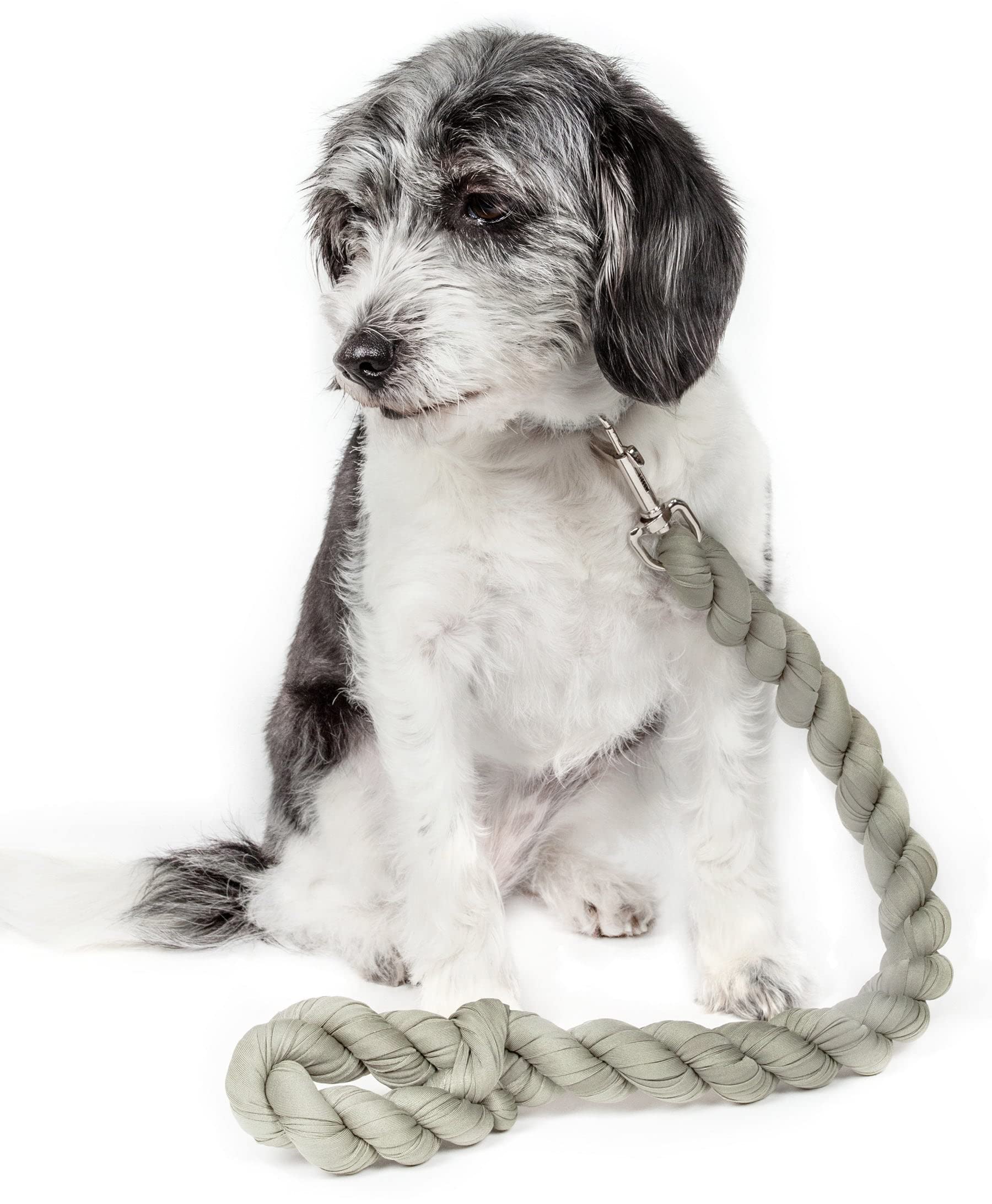 Pet Life  Tough-Tugger Industrial-Strength Shock Absorption Woven Dog Leash